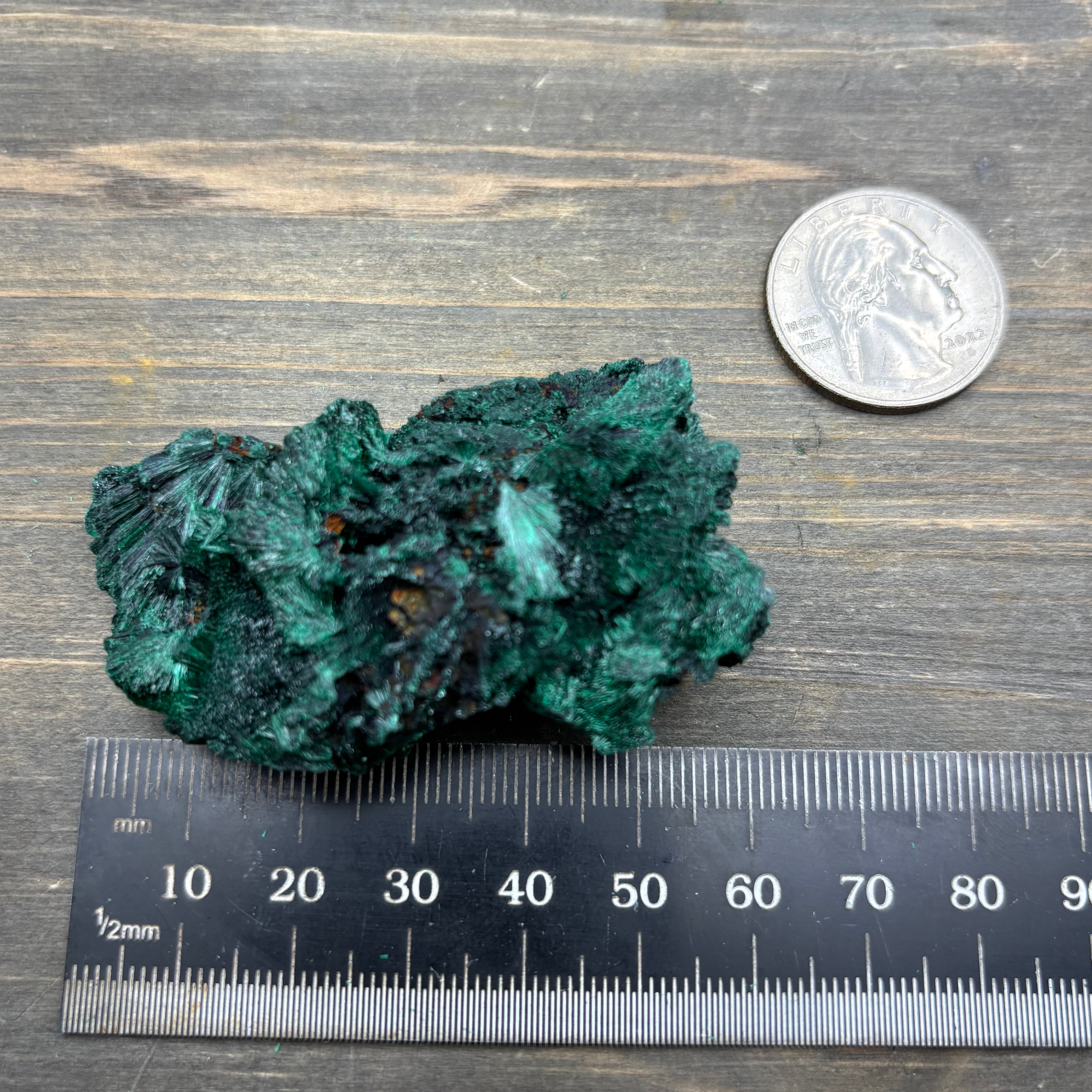 Emperor Malachite - 178