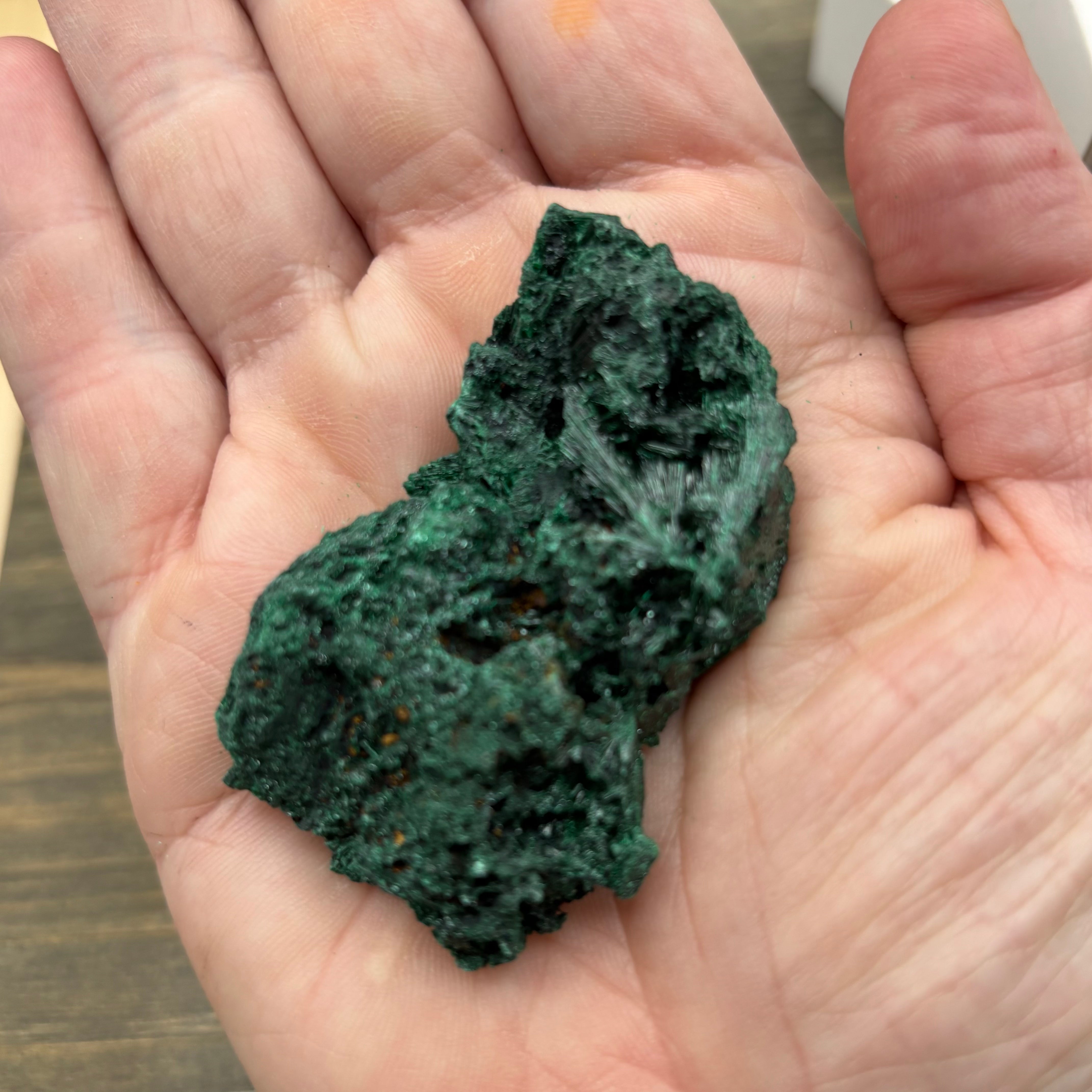Emperor Malachite - 178