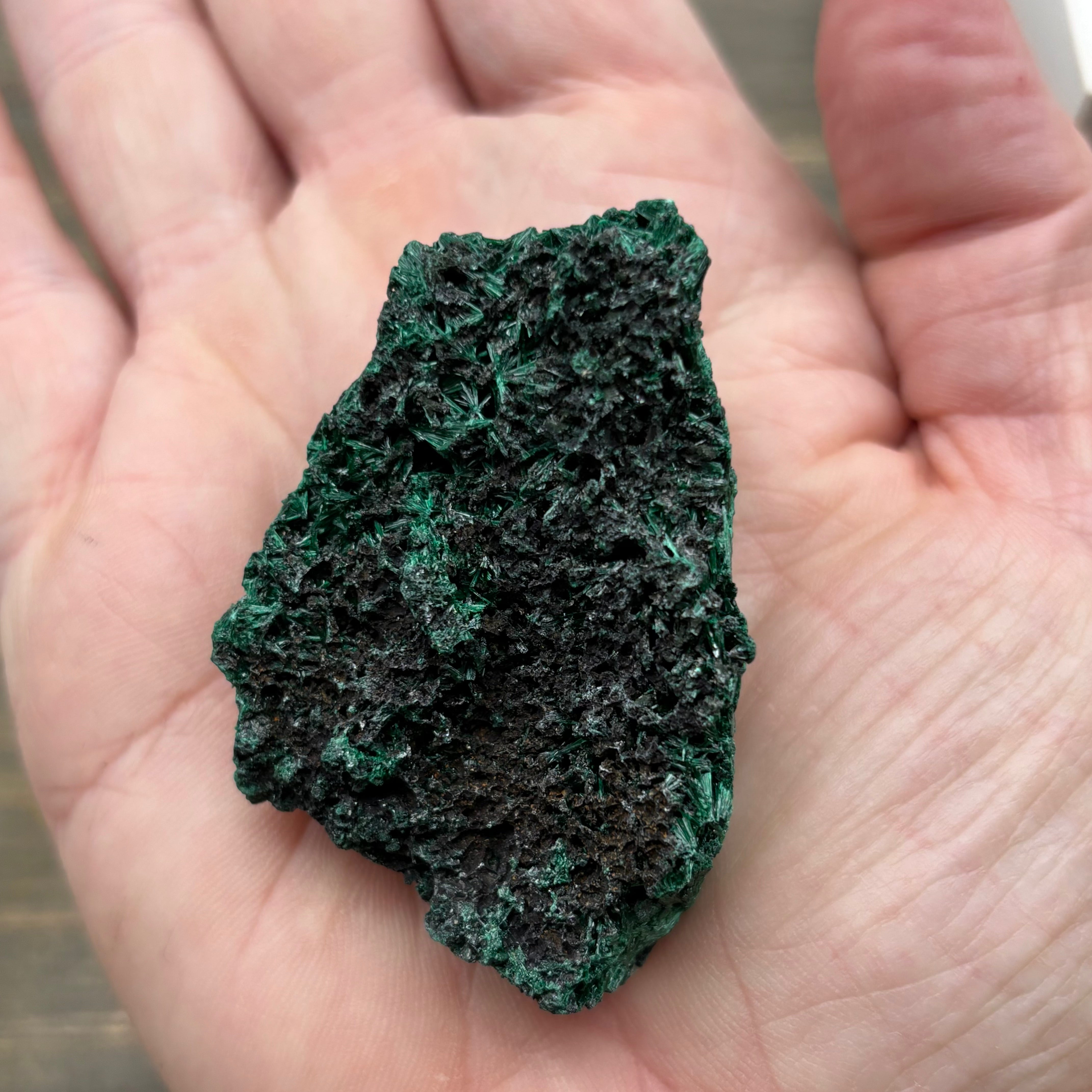 Emperor Malachite - 179