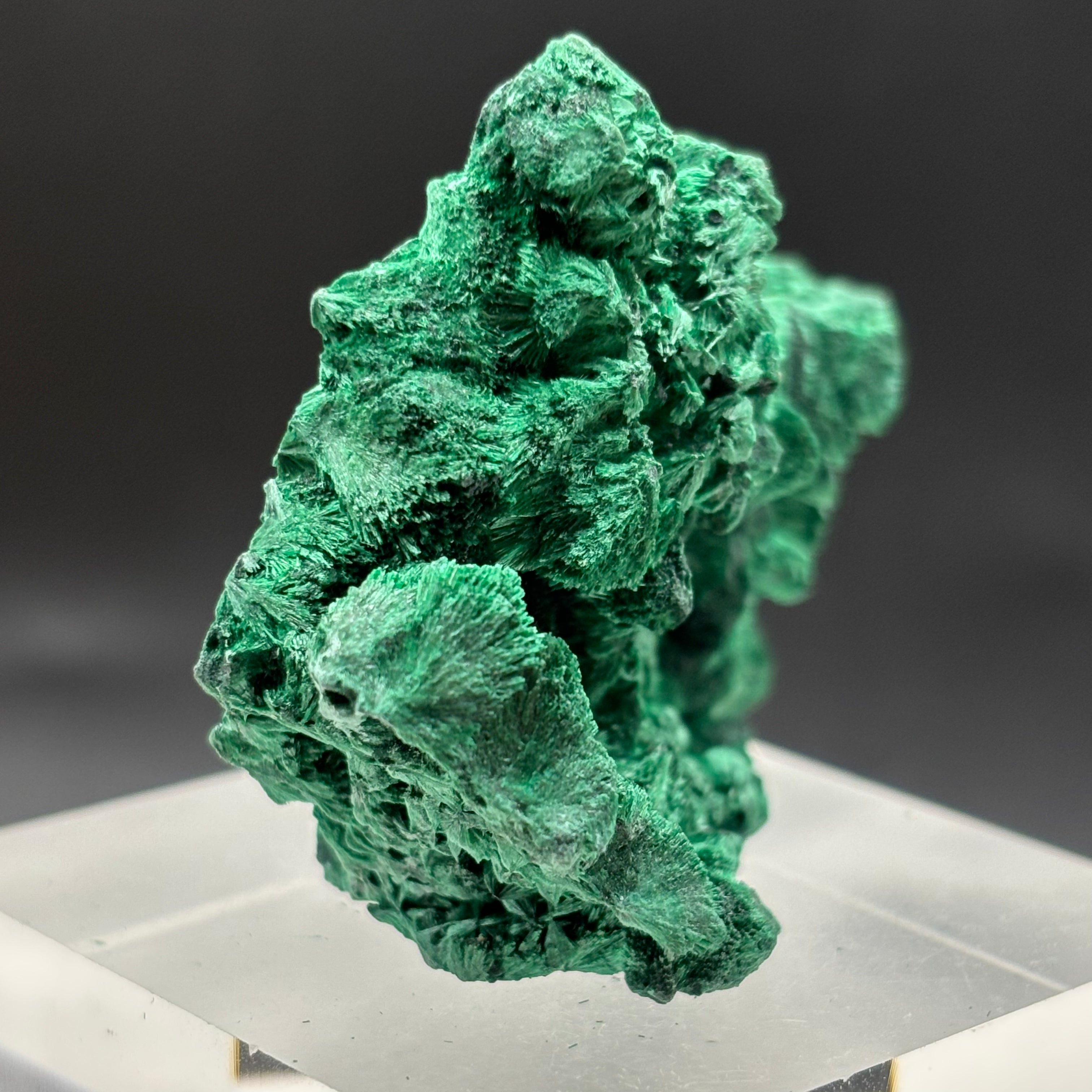 Emperor Malachite - 180