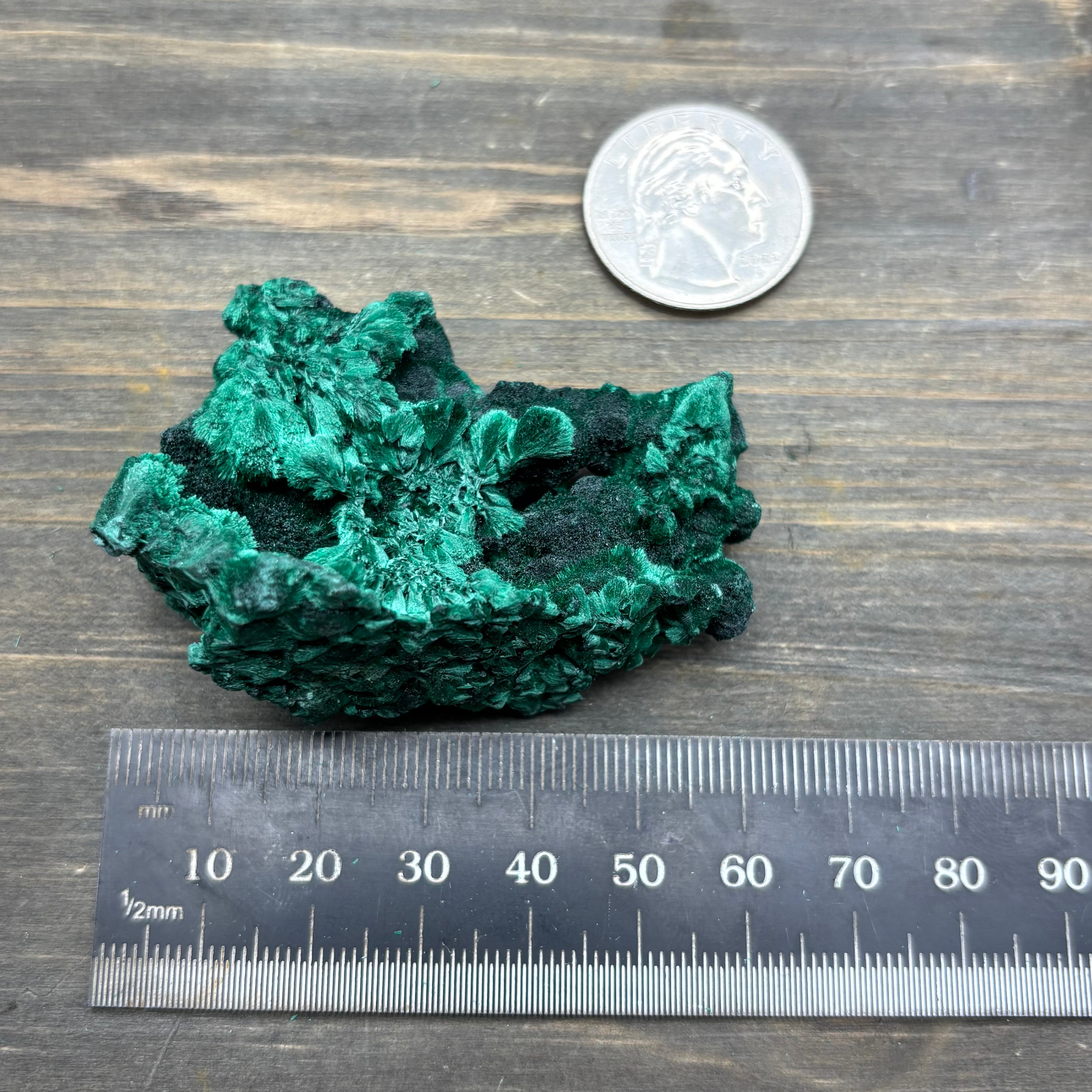Emperor Malachite - 180