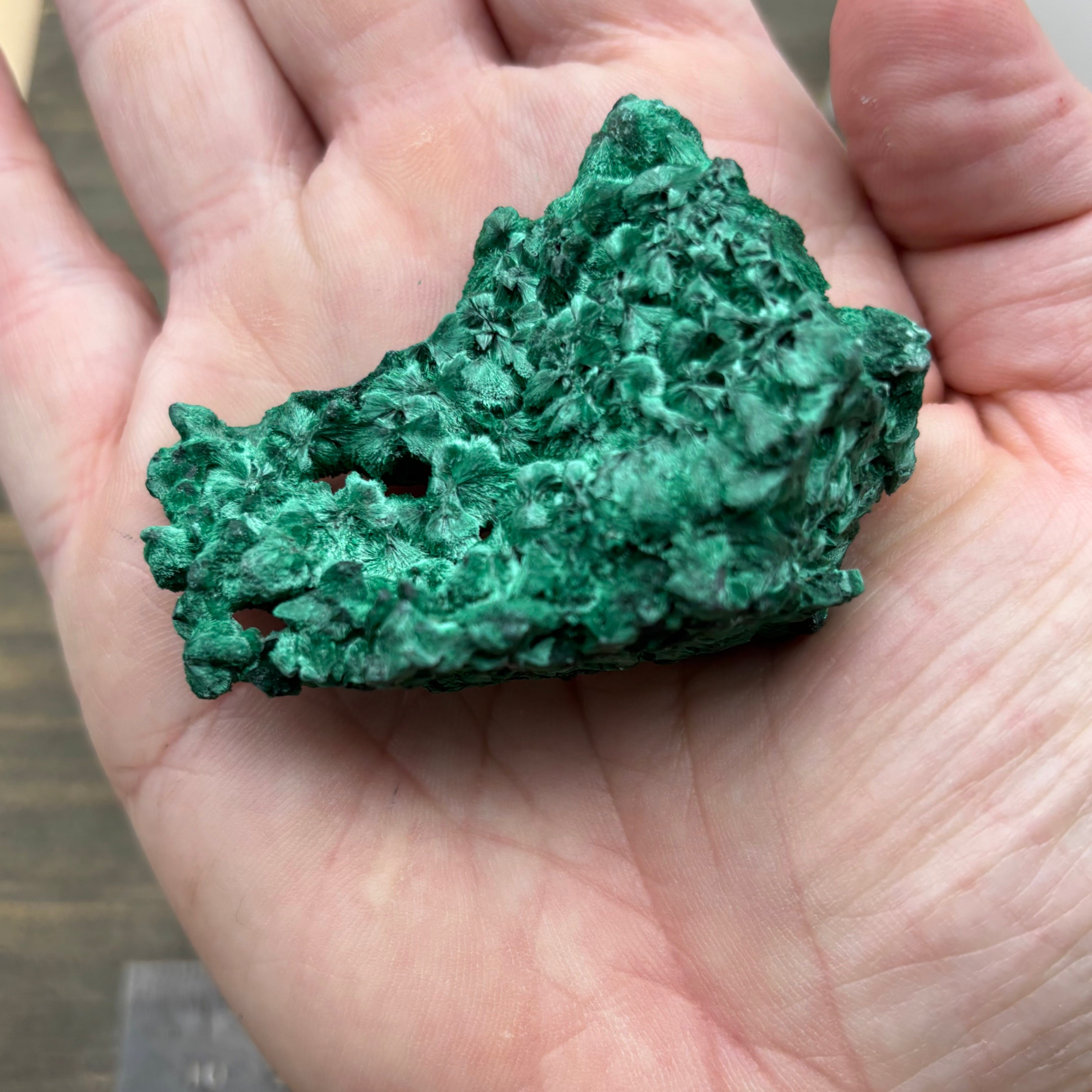 Emperor Malachite - 180