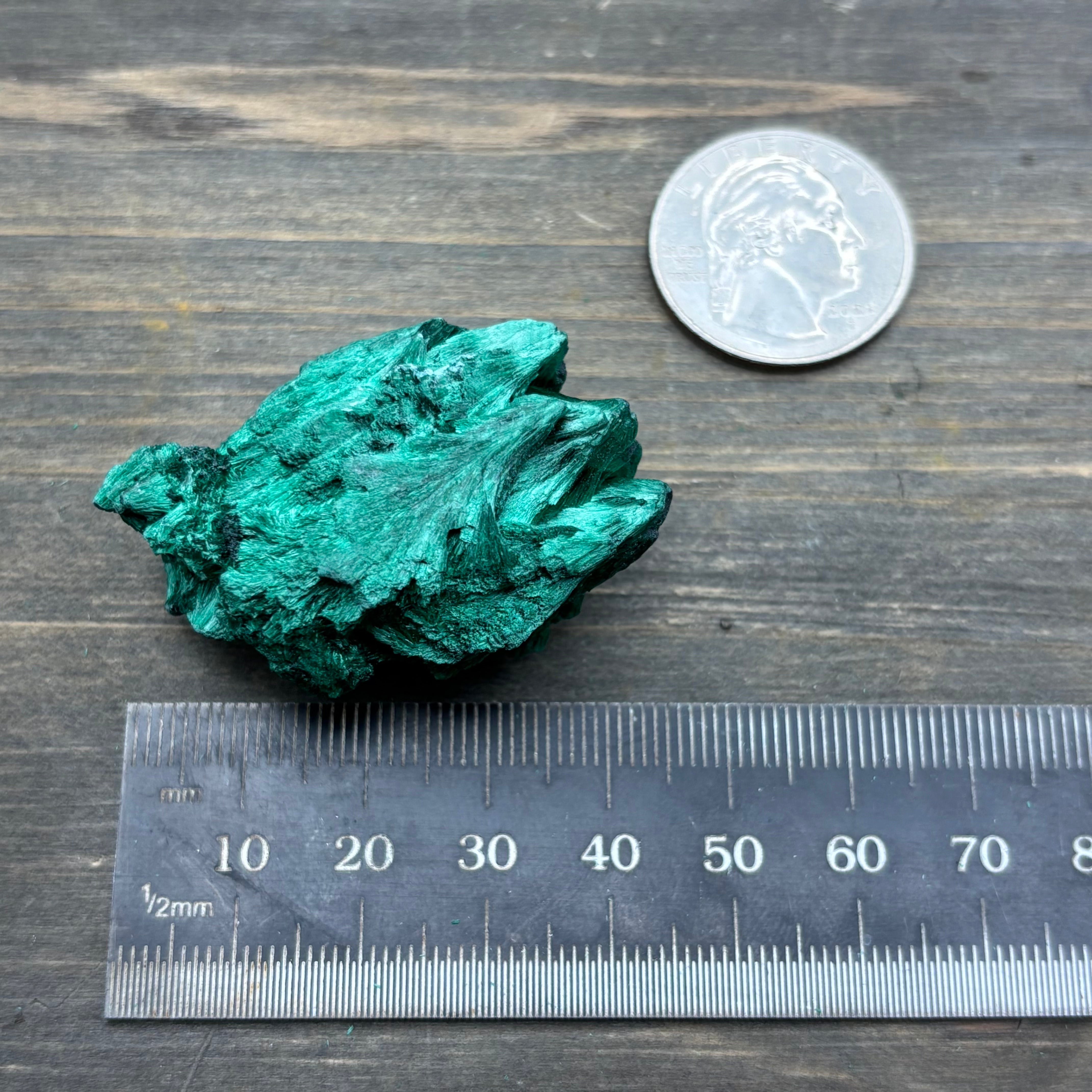 Emperor Malachite - 181
