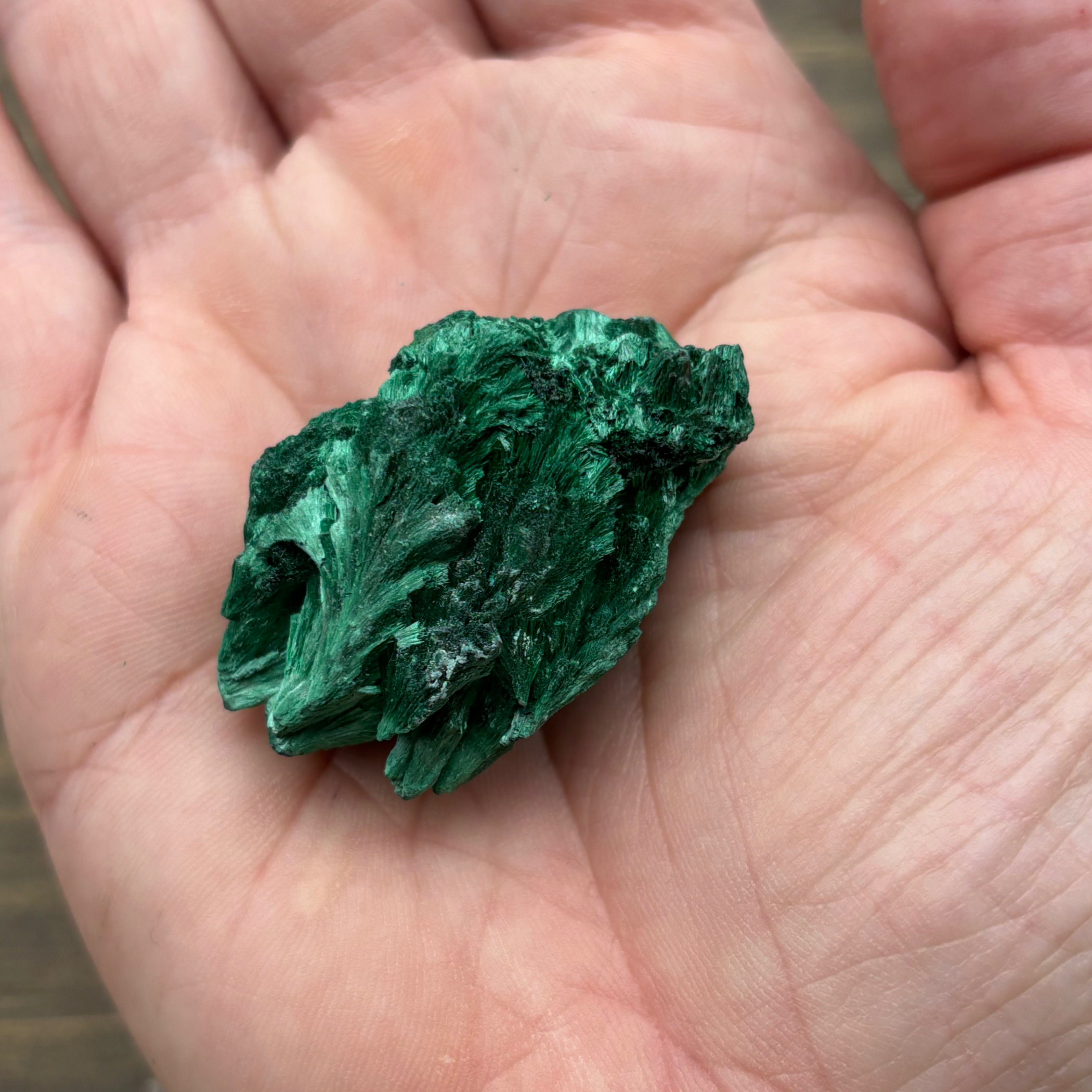 Emperor Malachite - 181