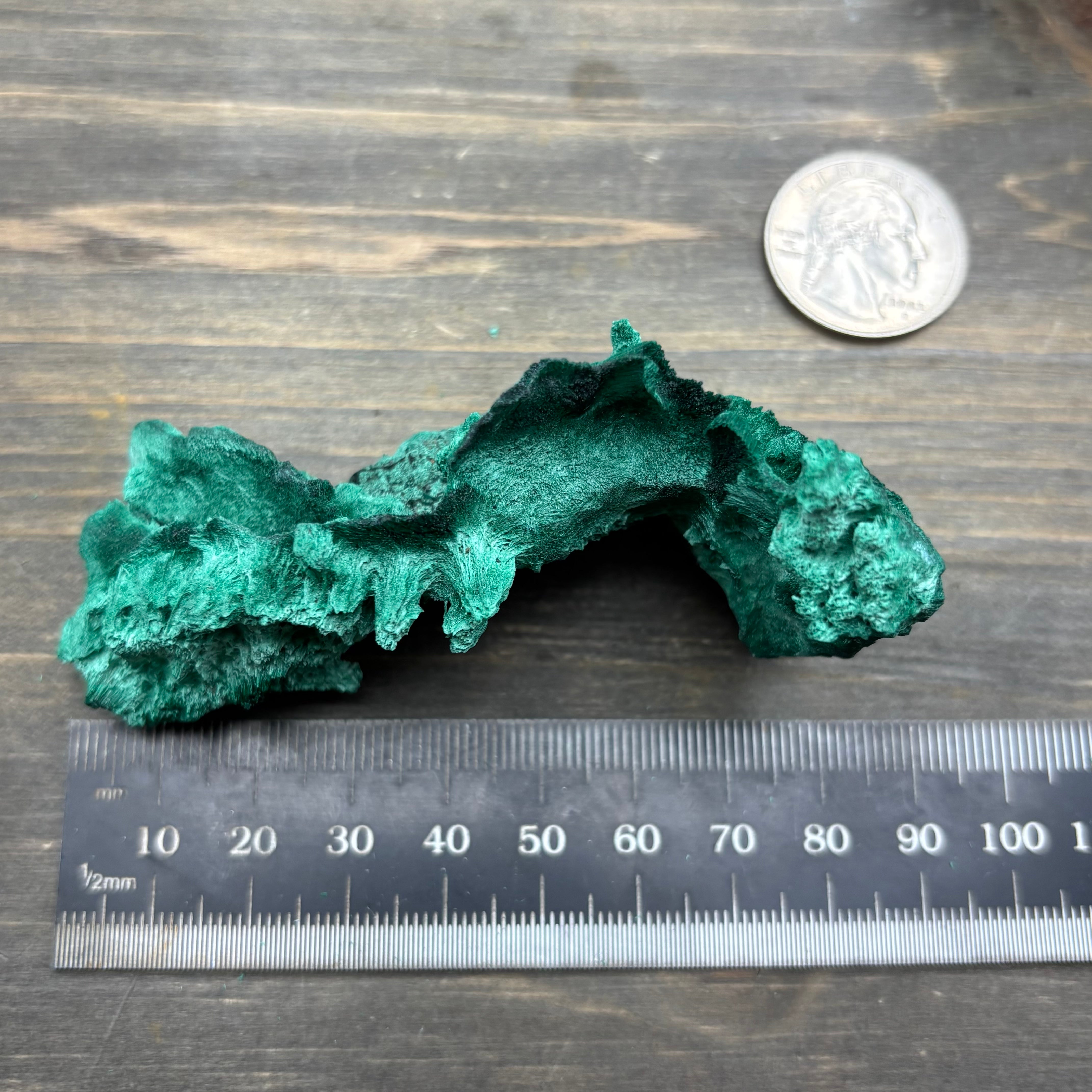 Emperor Malachite - 182
