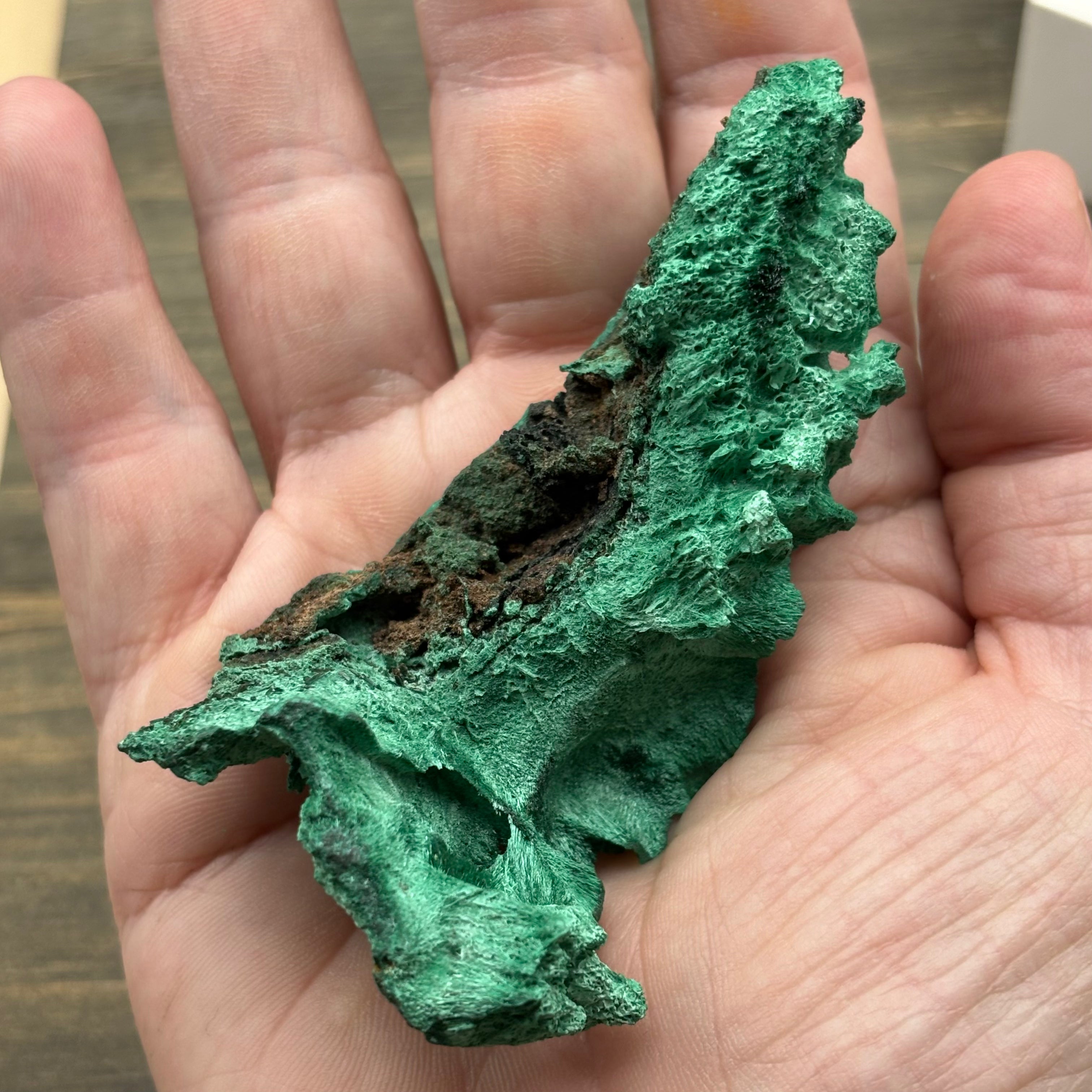 Emperor Malachite - 182