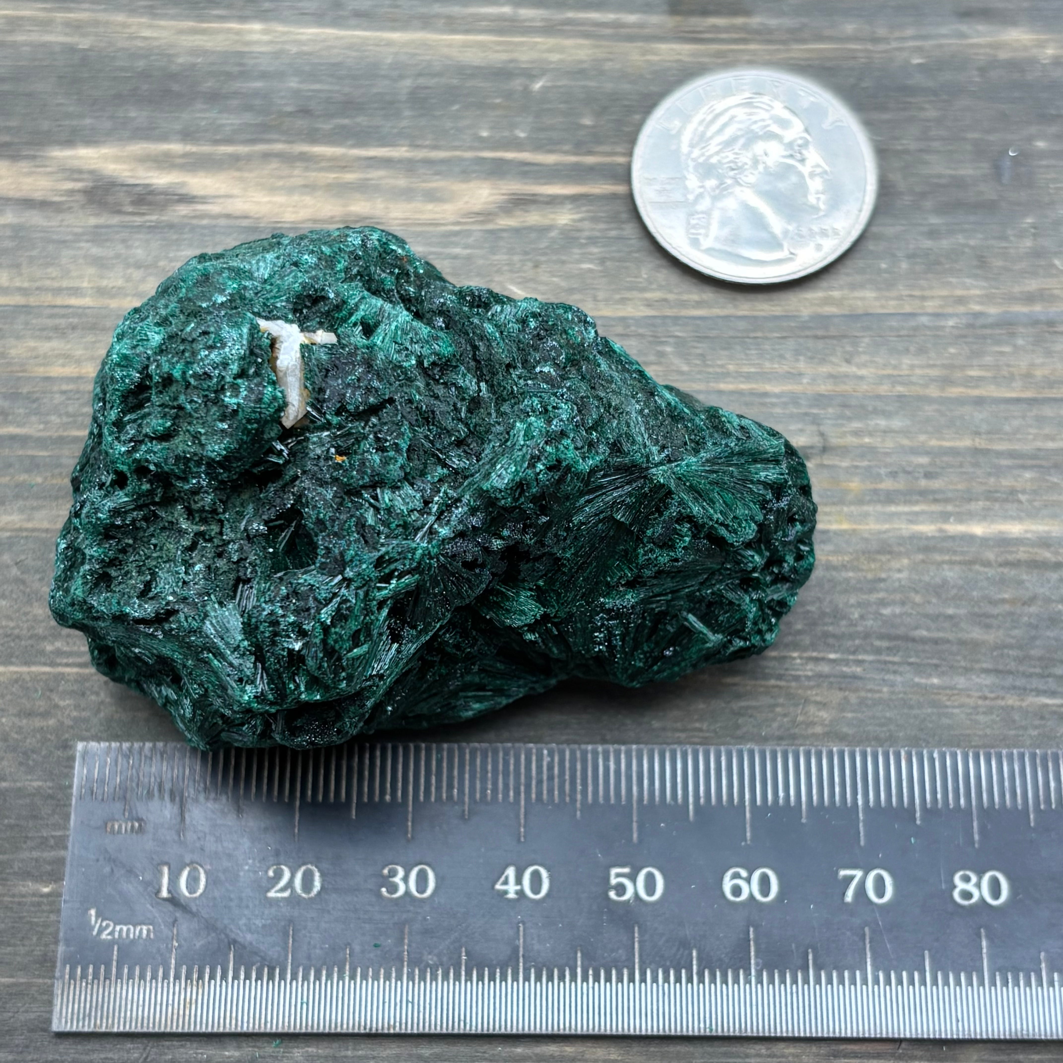 Emperor Malachite - 183