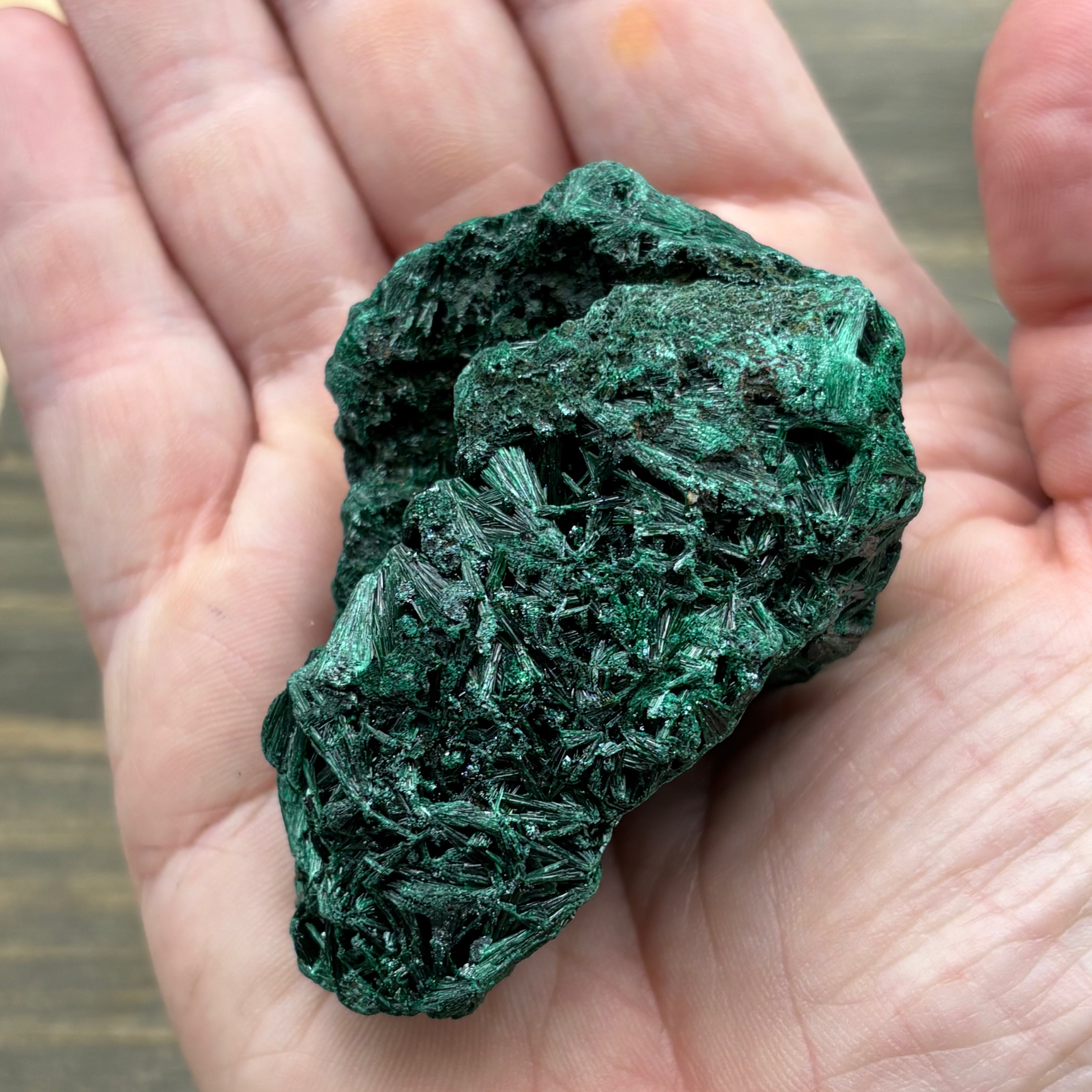 Emperor Malachite - 183