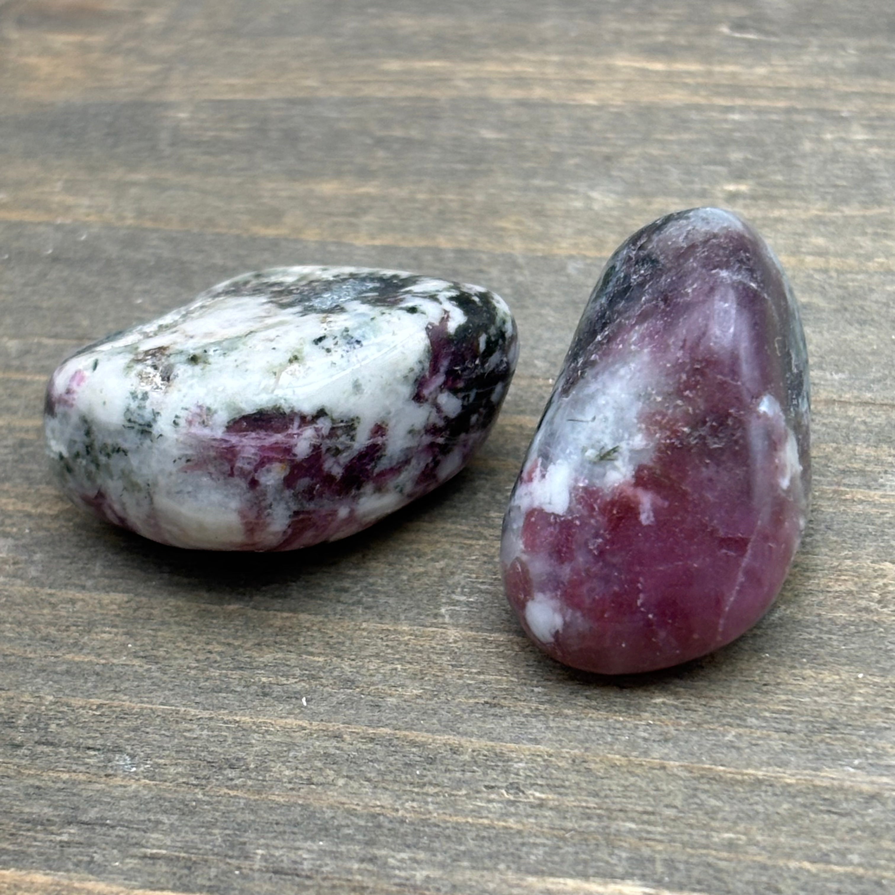 Eudialyte Point Pair