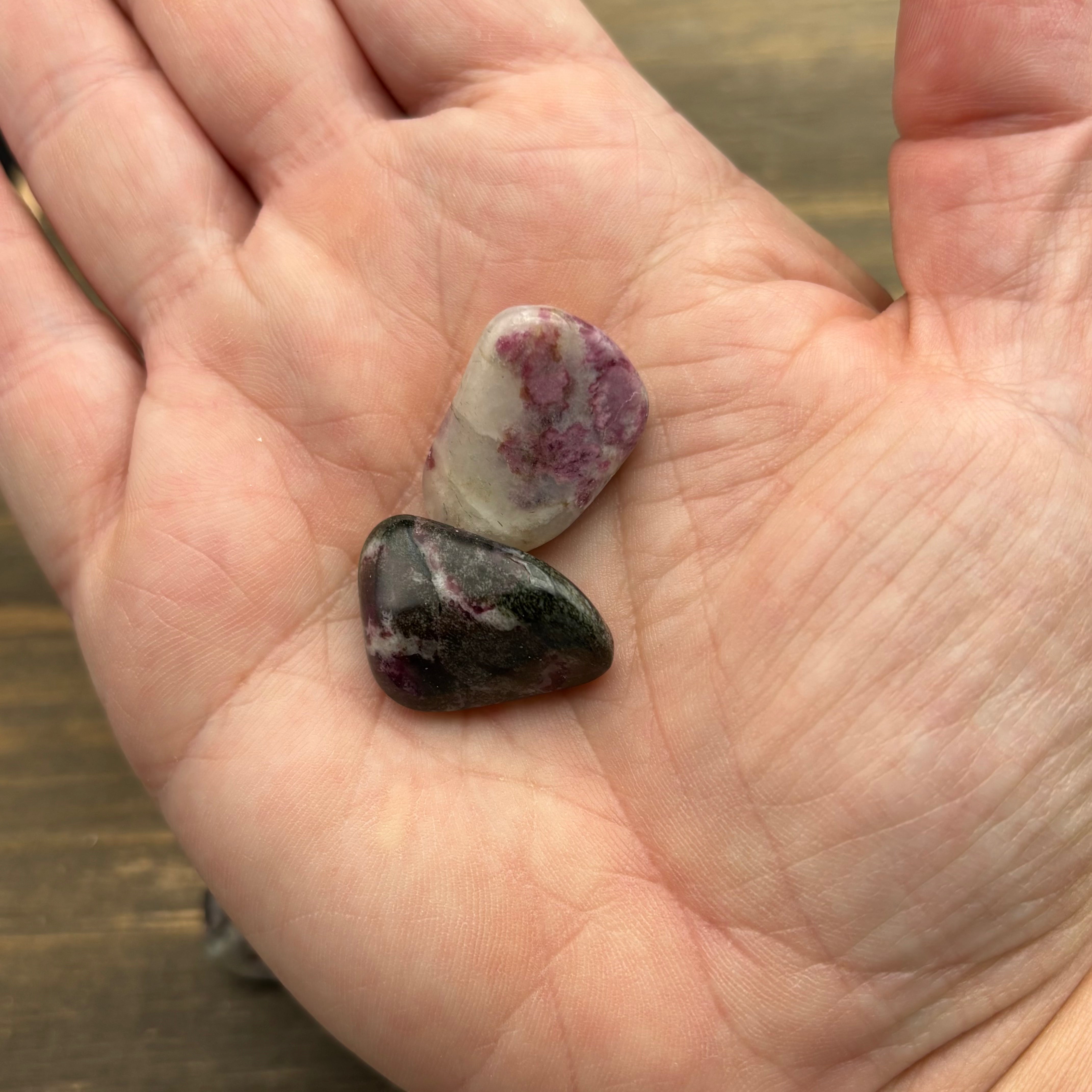 Eudialyte Point Pair