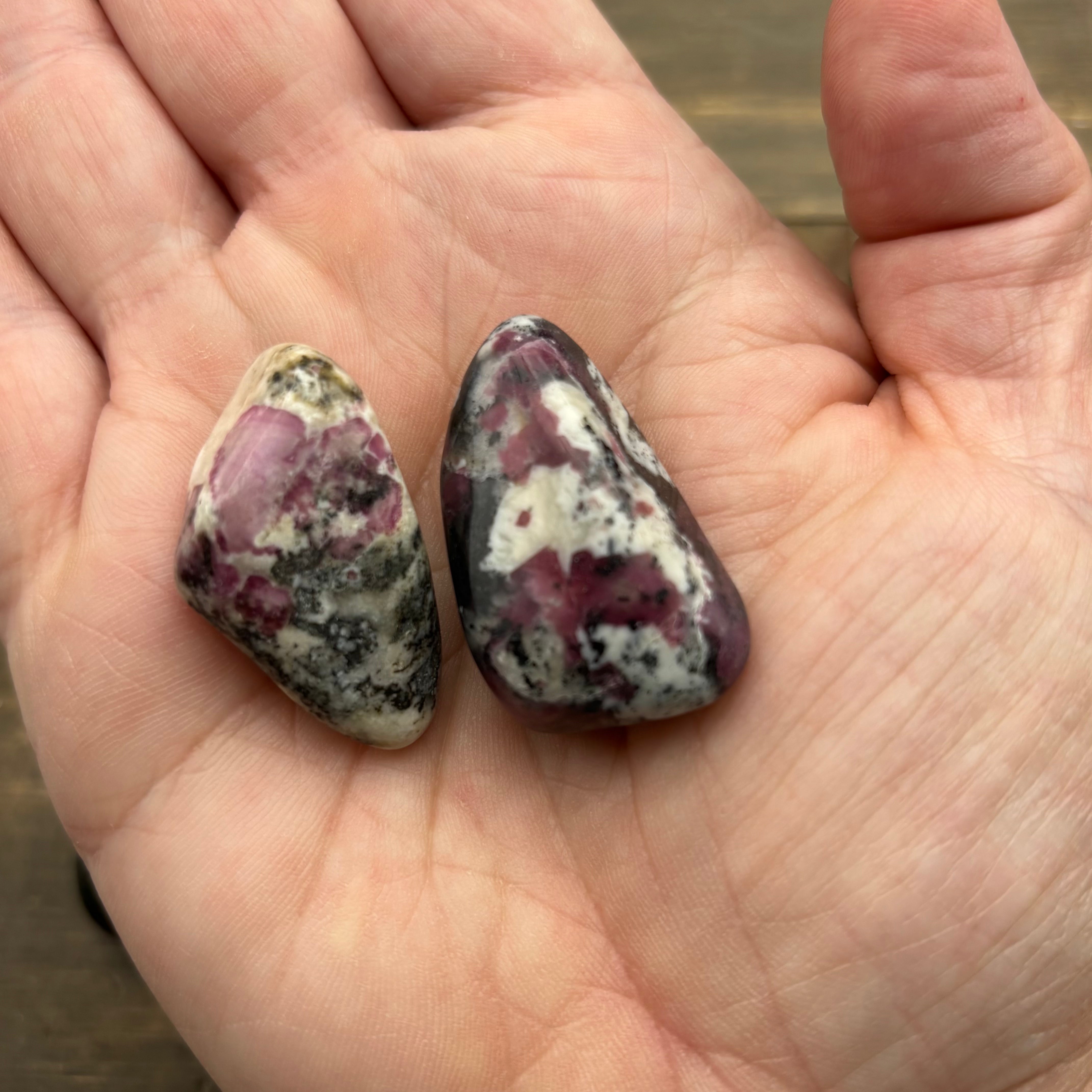 Eudialyte Point Pair