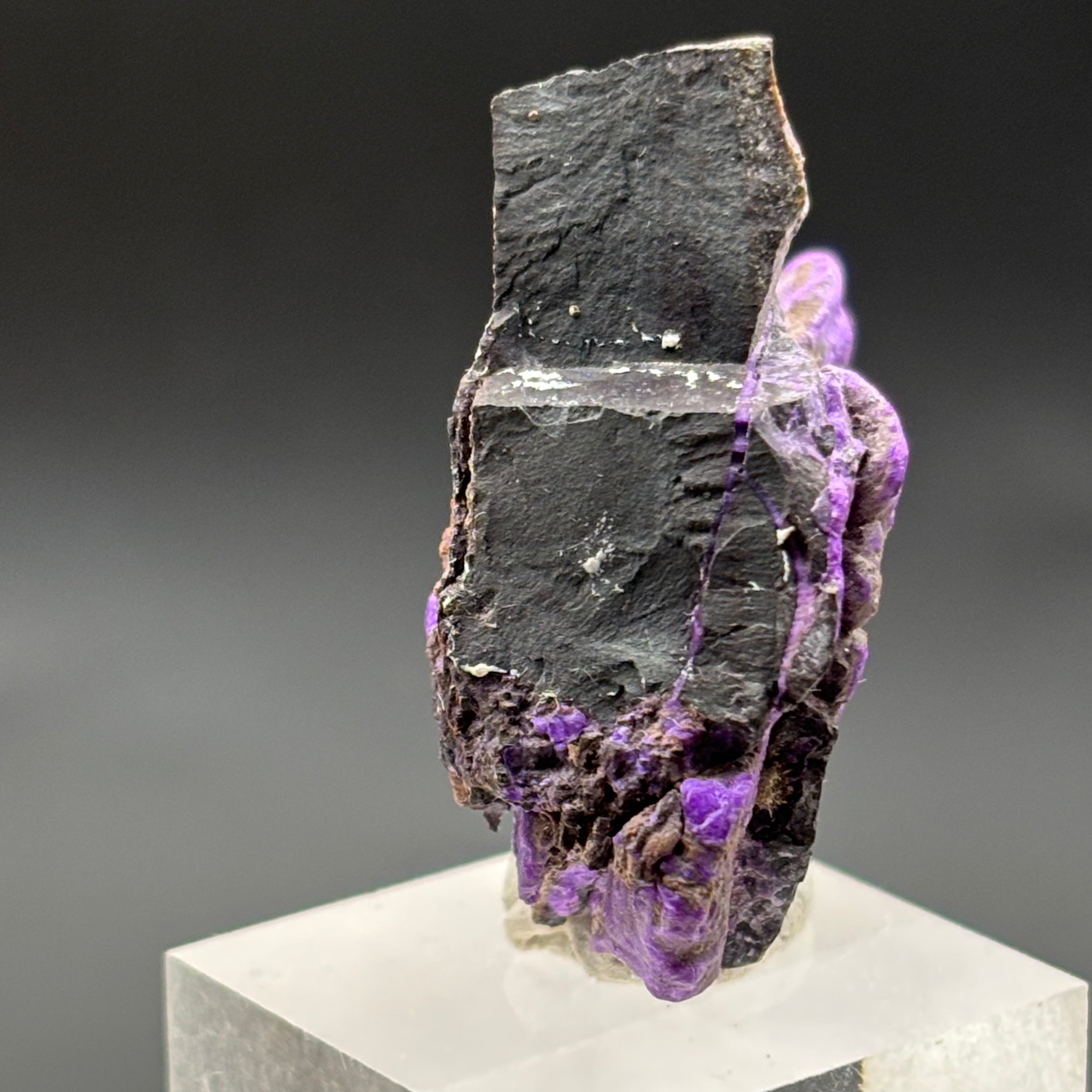 Crystallized Sugilite - 010