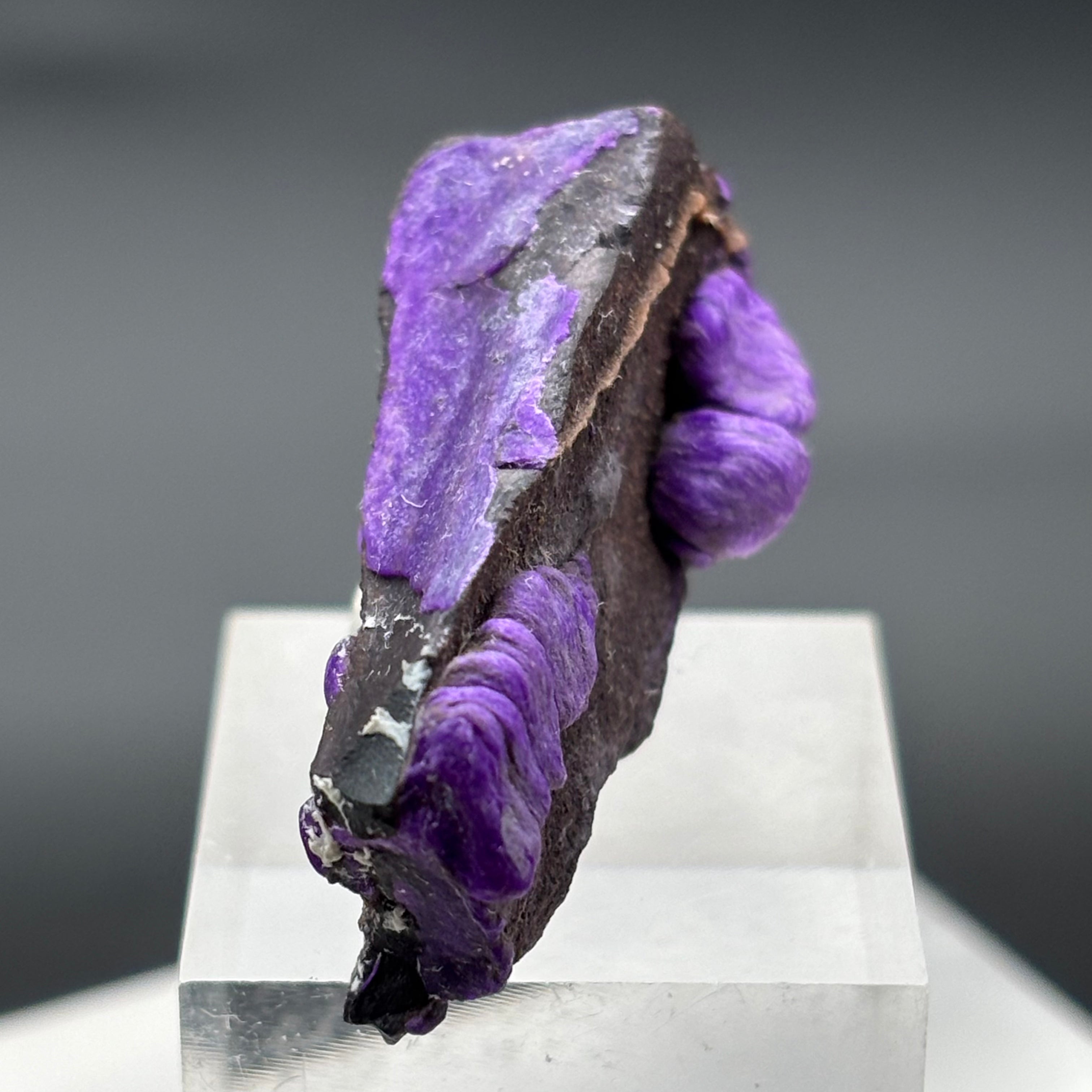 Crystallized Sugilite - 011