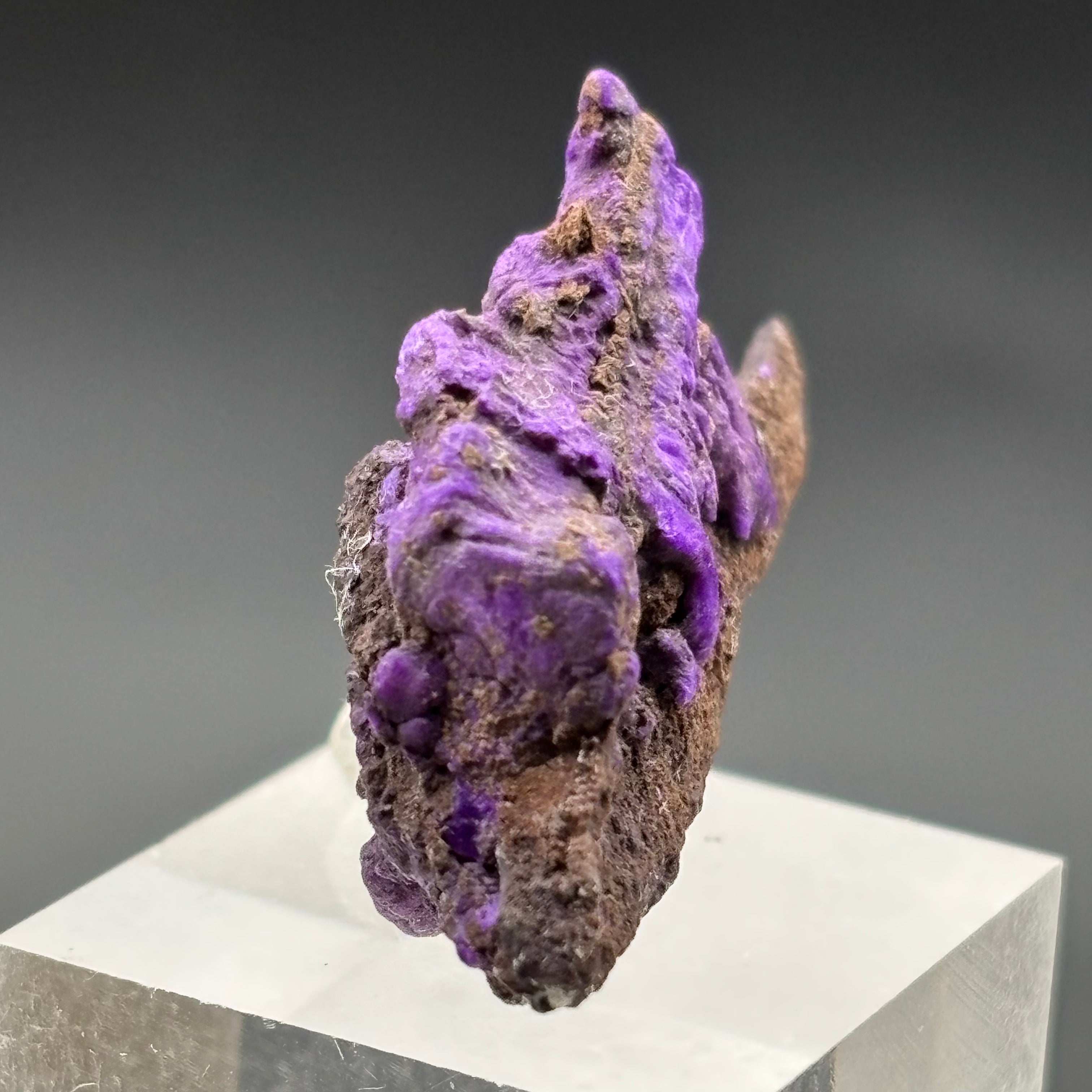 Crystallized Sugilite - 012