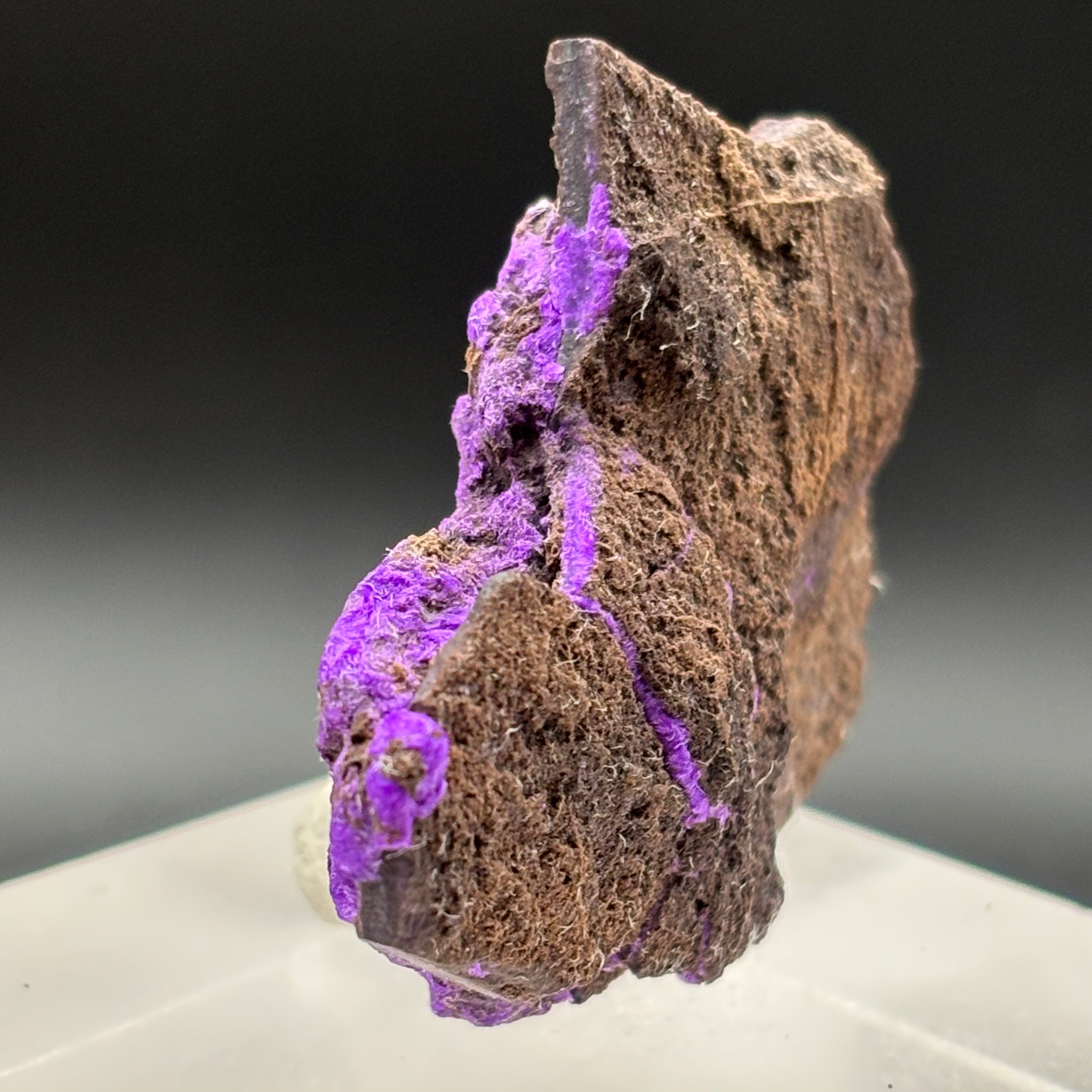 Crystallized Sugilite - 037