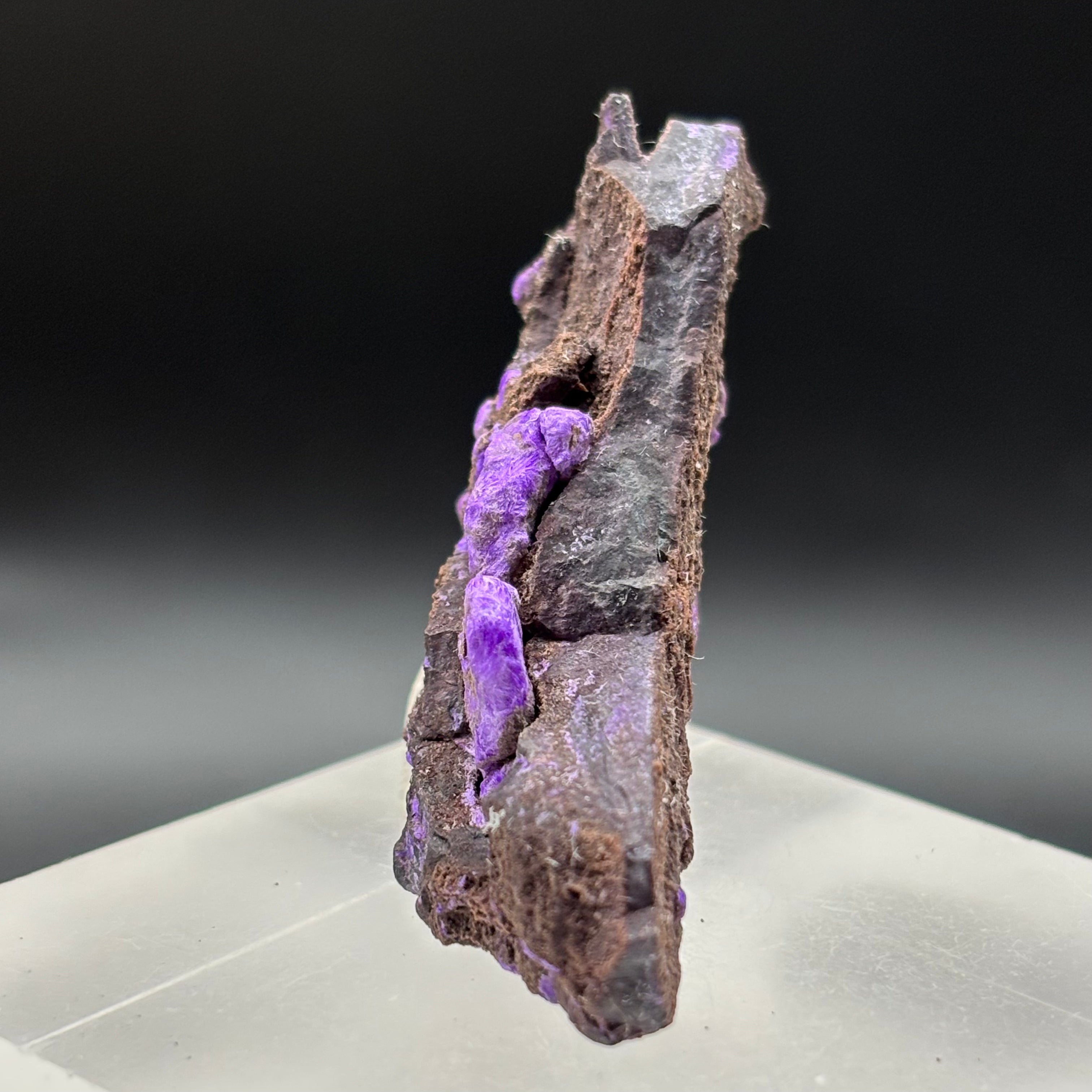 Crystallized Sugilite - 040