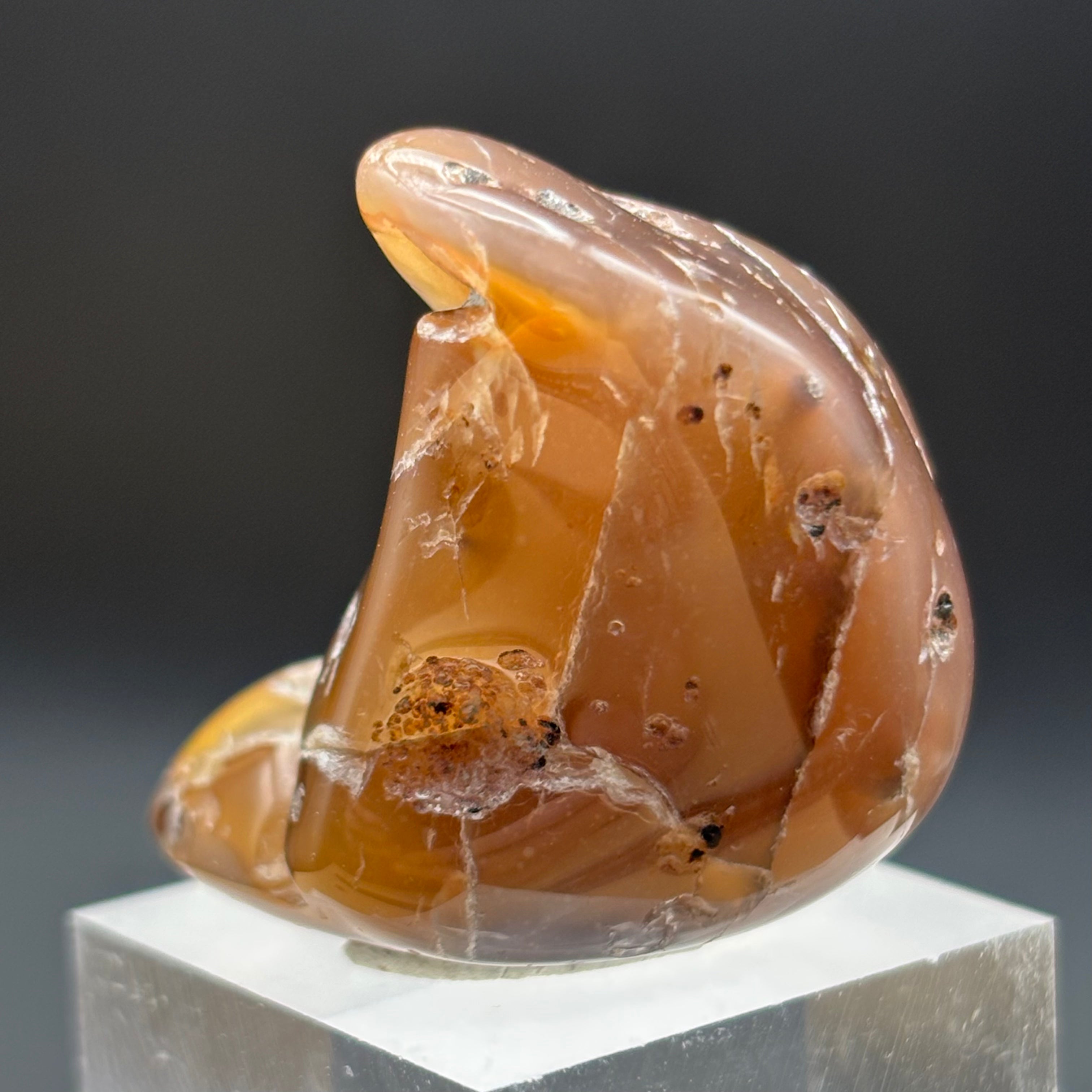 Laguna Agate - 008