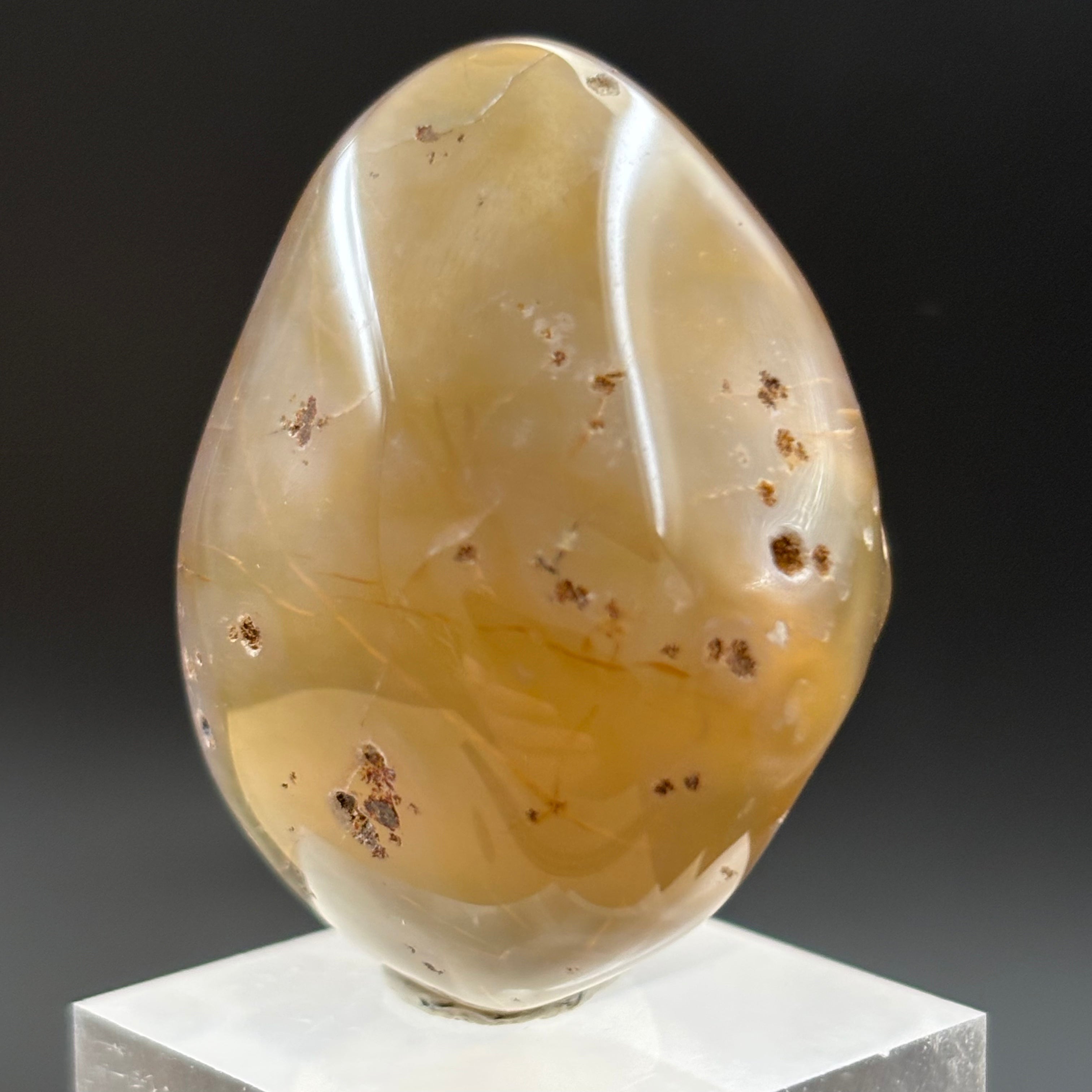 Laguna Agate - 009