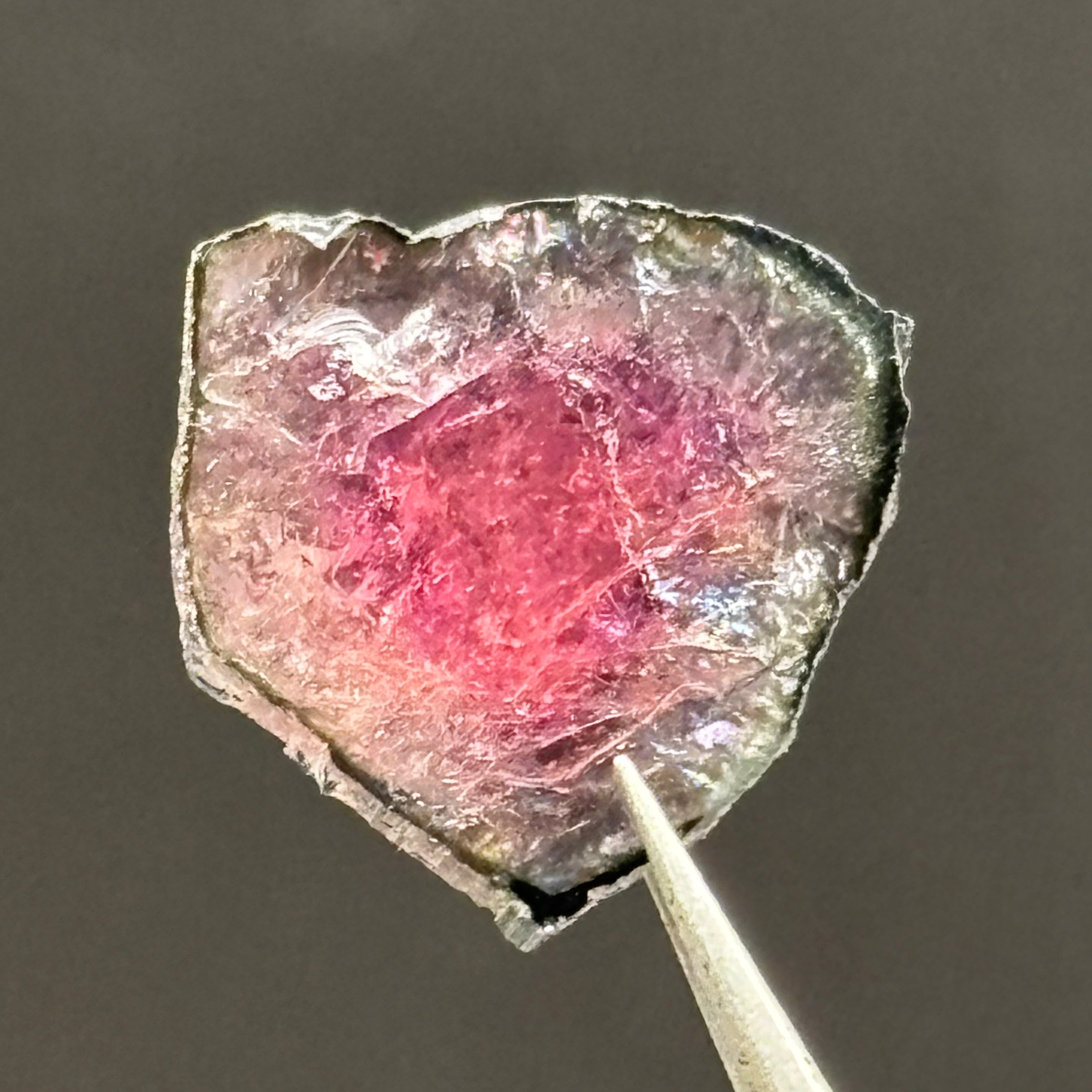 Watermelon Tourmaline Cross-Section - 055