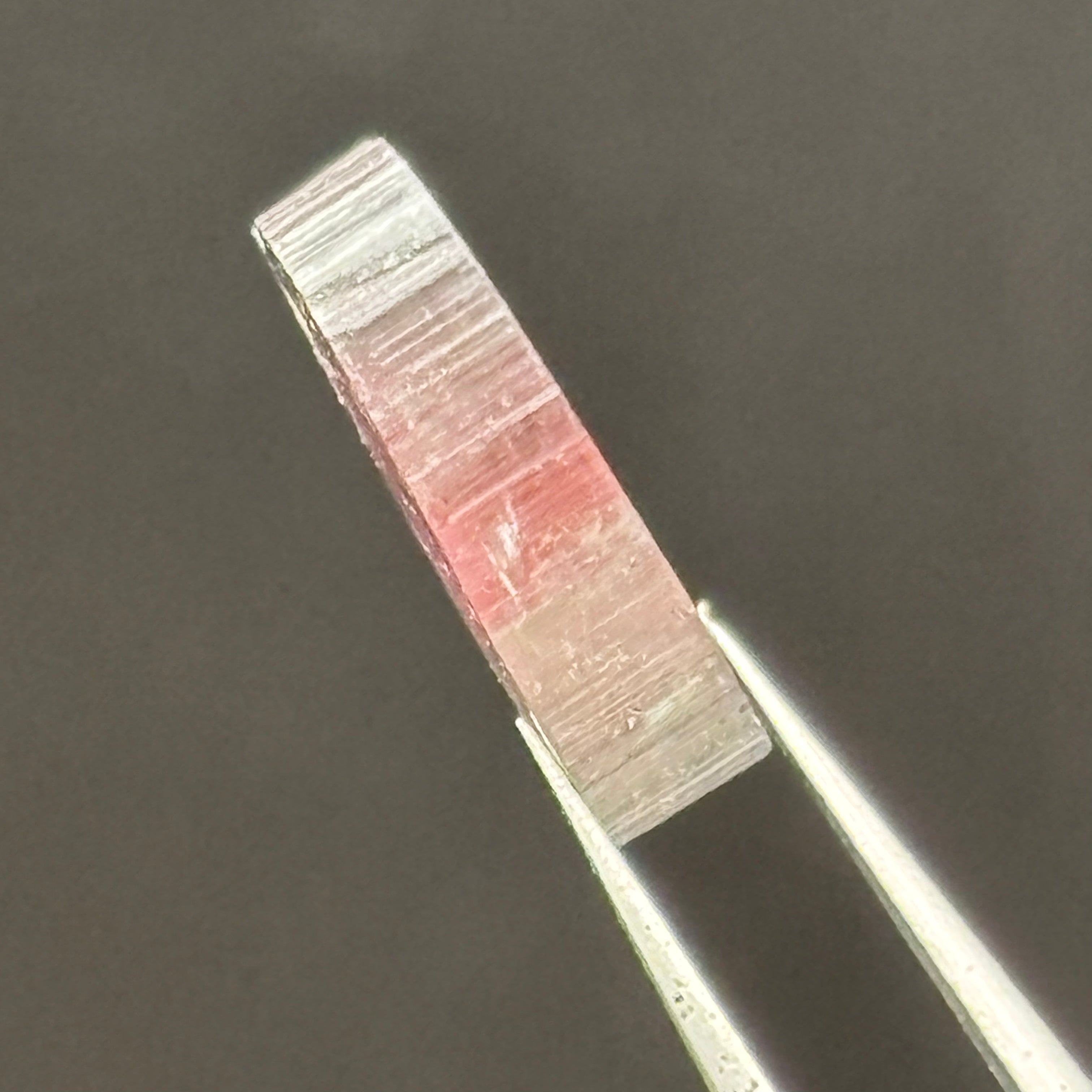 Watermelon Tourmaline Cross-Section - 055