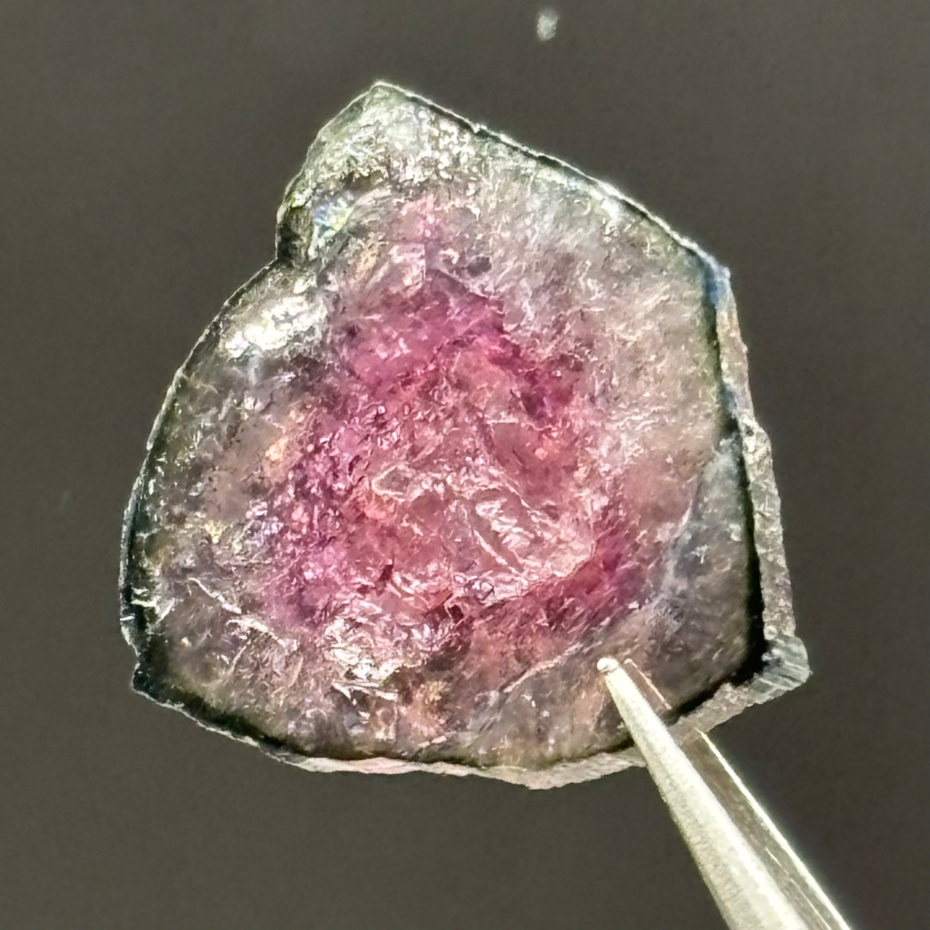 Watermelon Tourmaline Cross-Section - 055