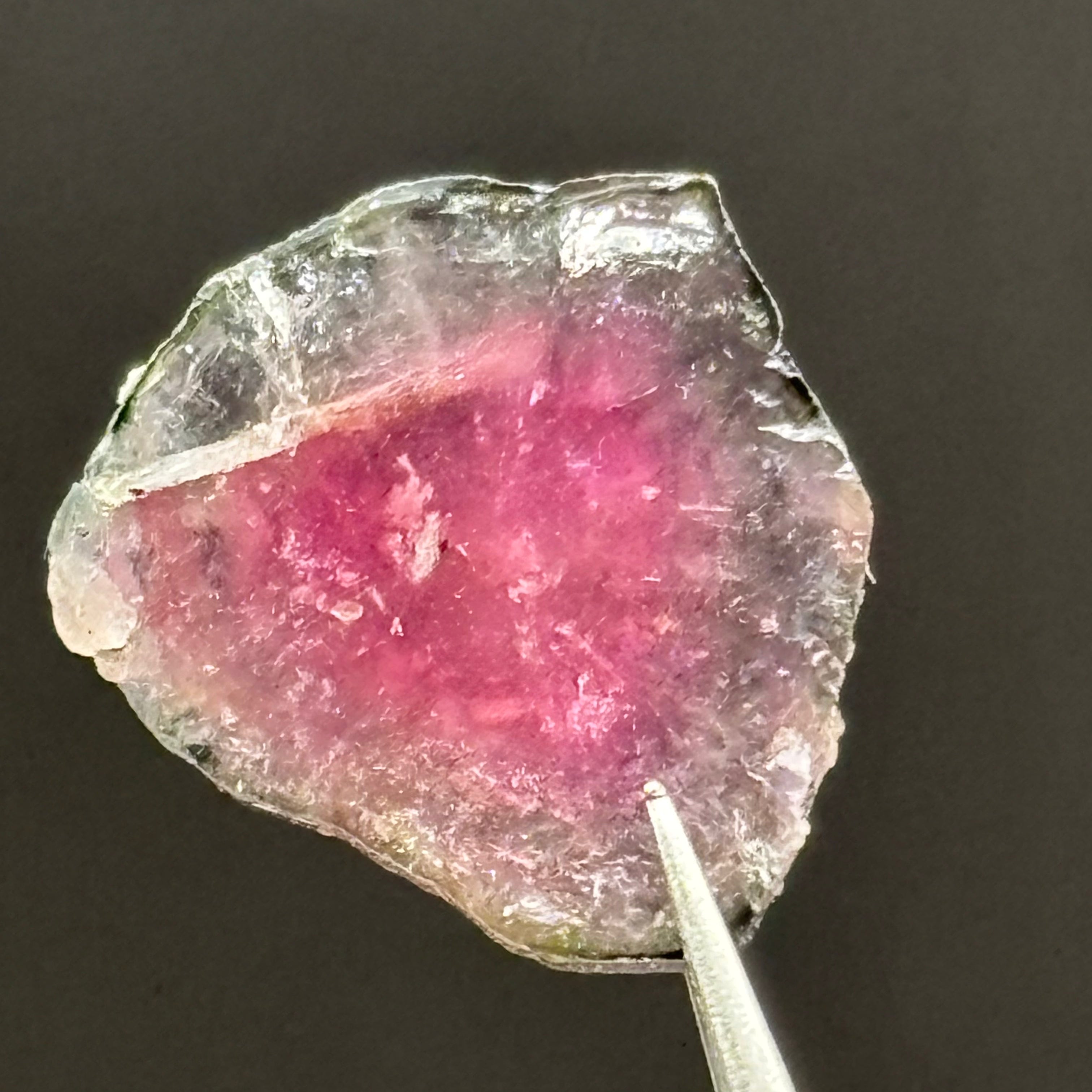 Watermelon Tourmaline Cross-Section - 056