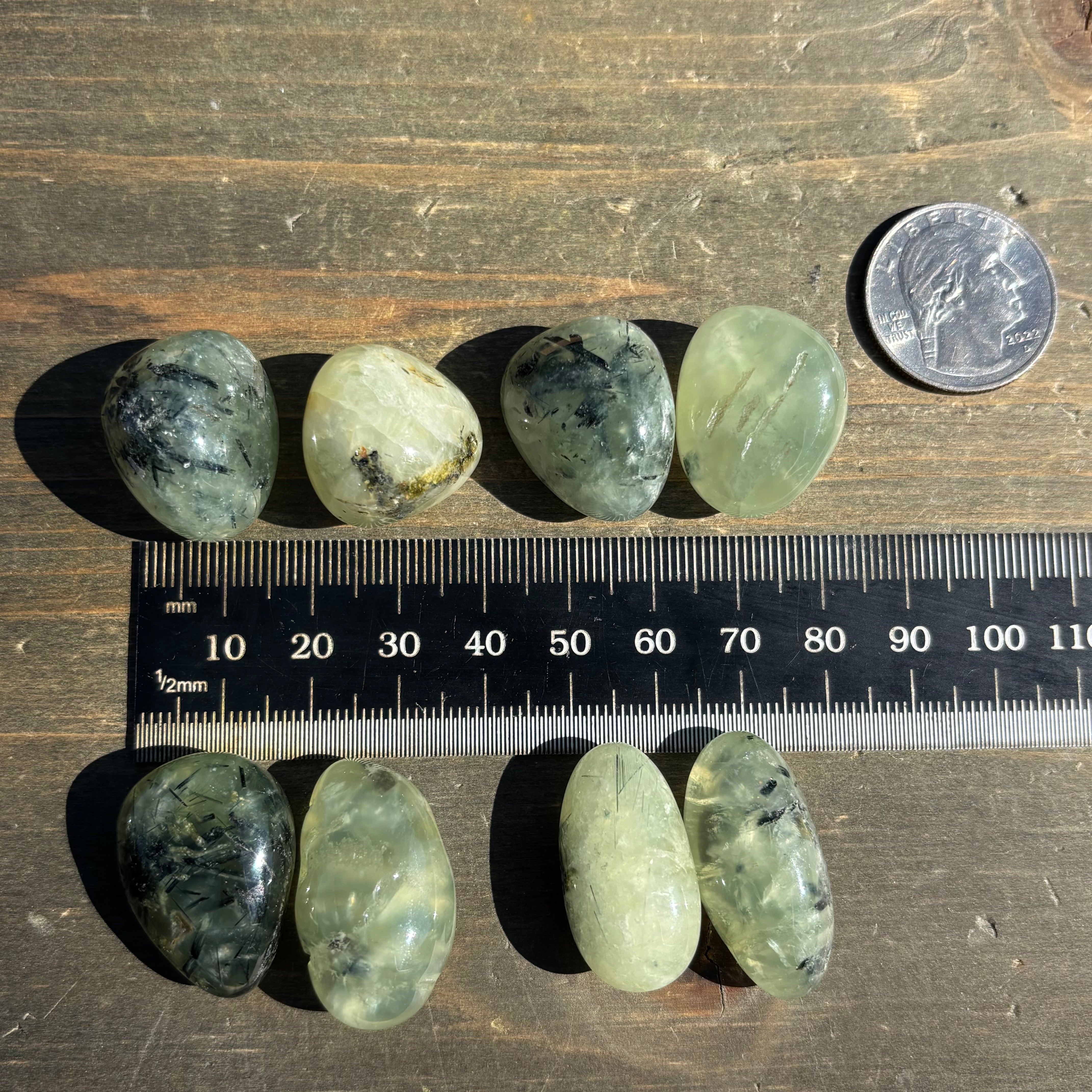 Polished Prehnite in Epidote Pair