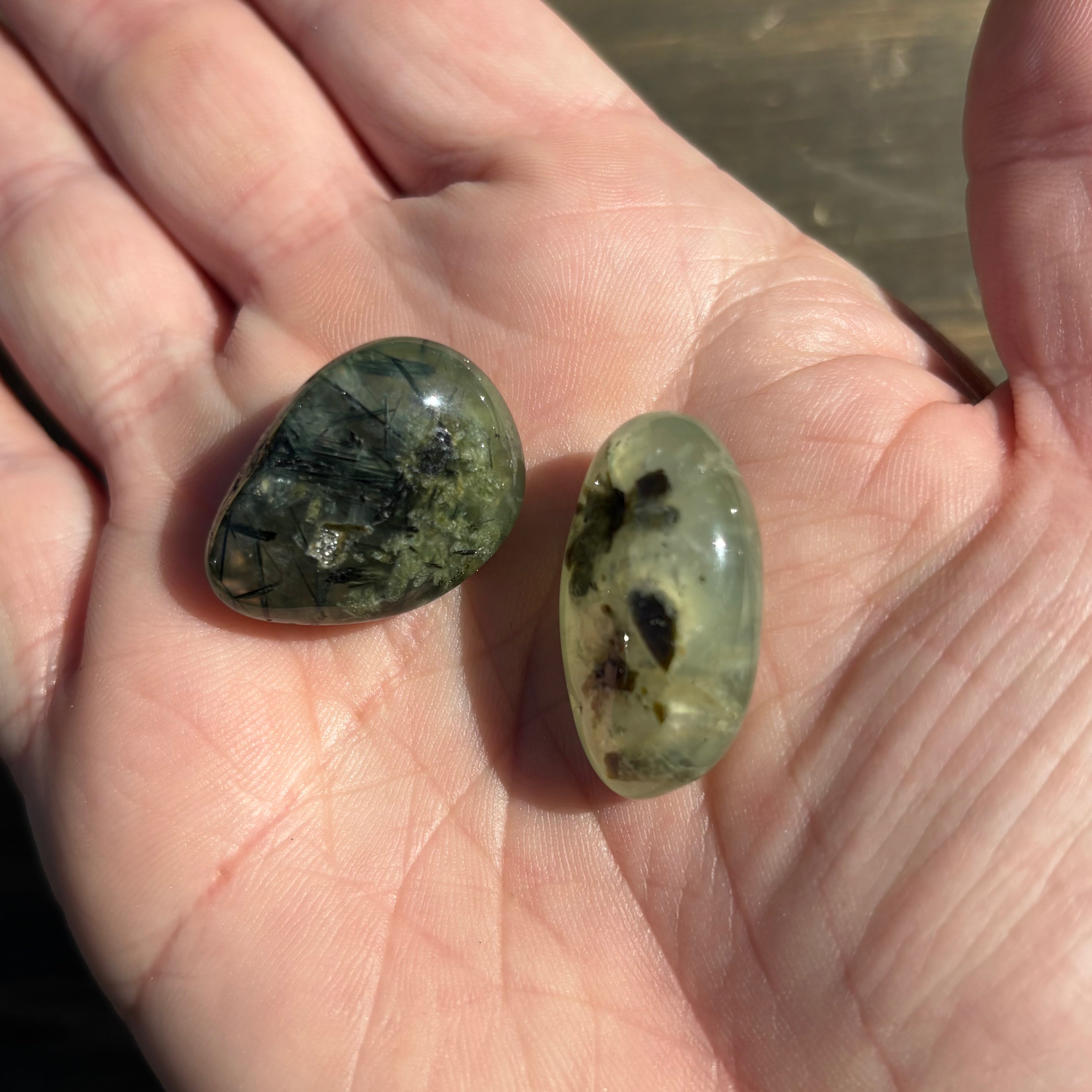 Polished Prehnite in Epidote Pair