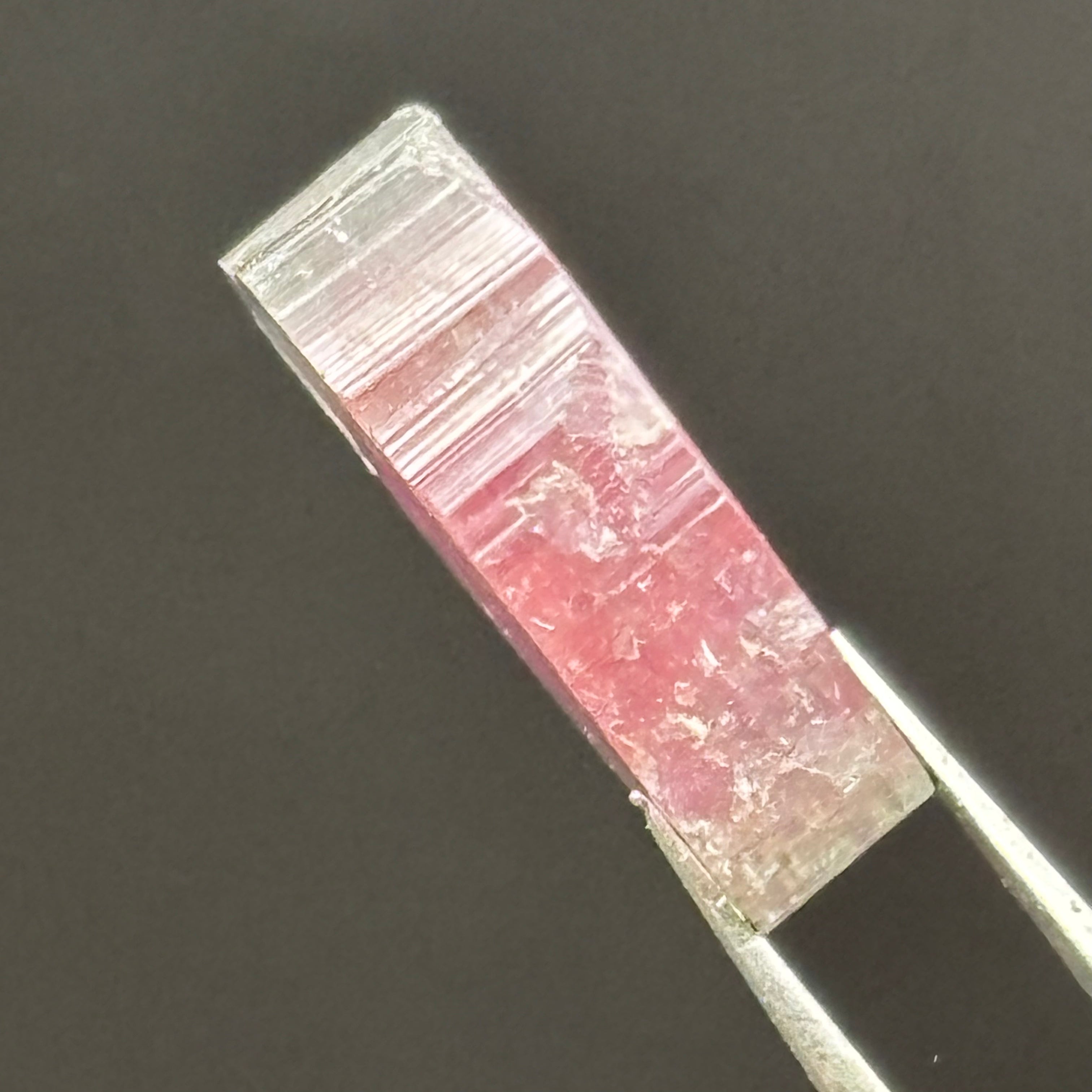 Watermelon Tourmaline Cross-Section - 056