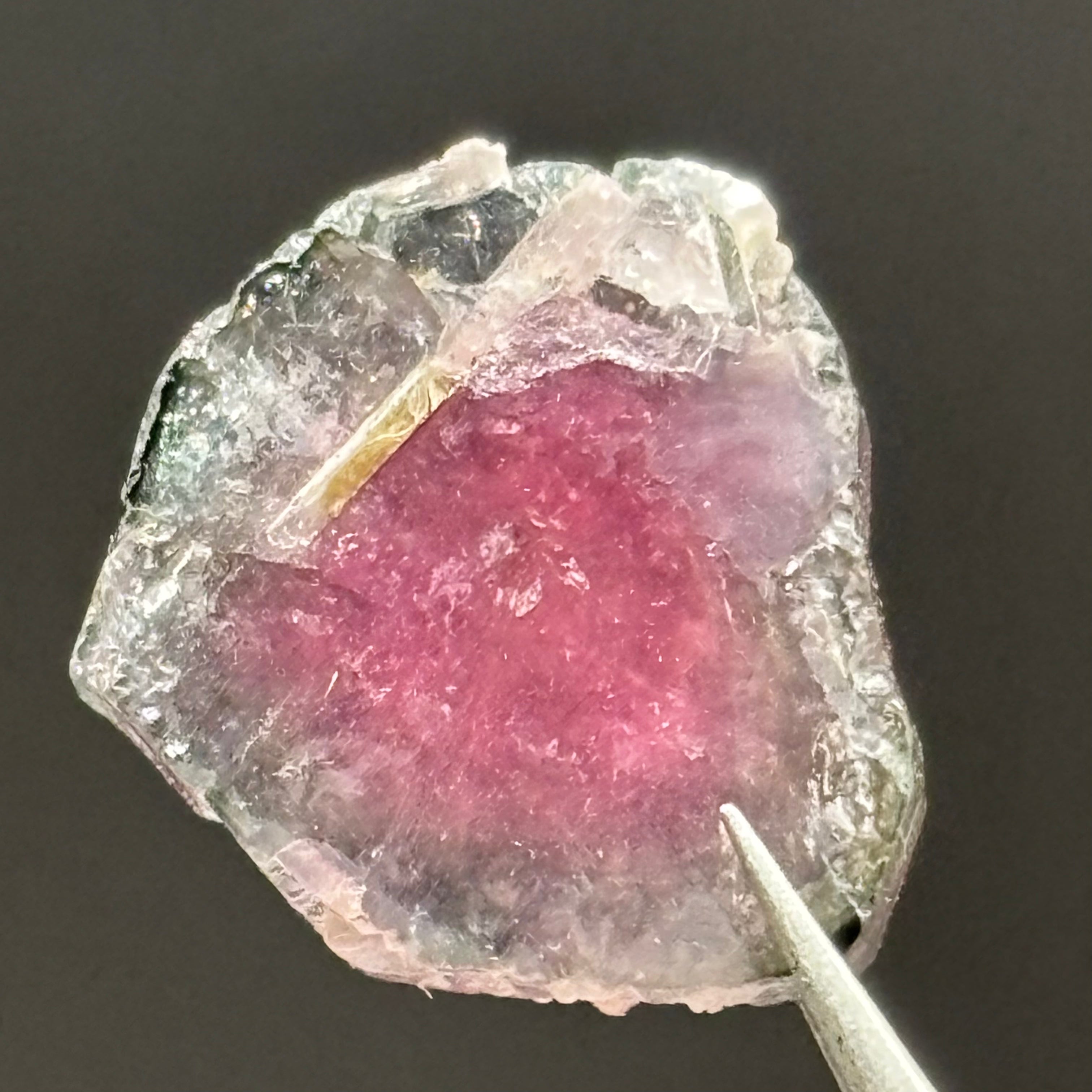Watermelon Tourmaline Cross-Section - 056