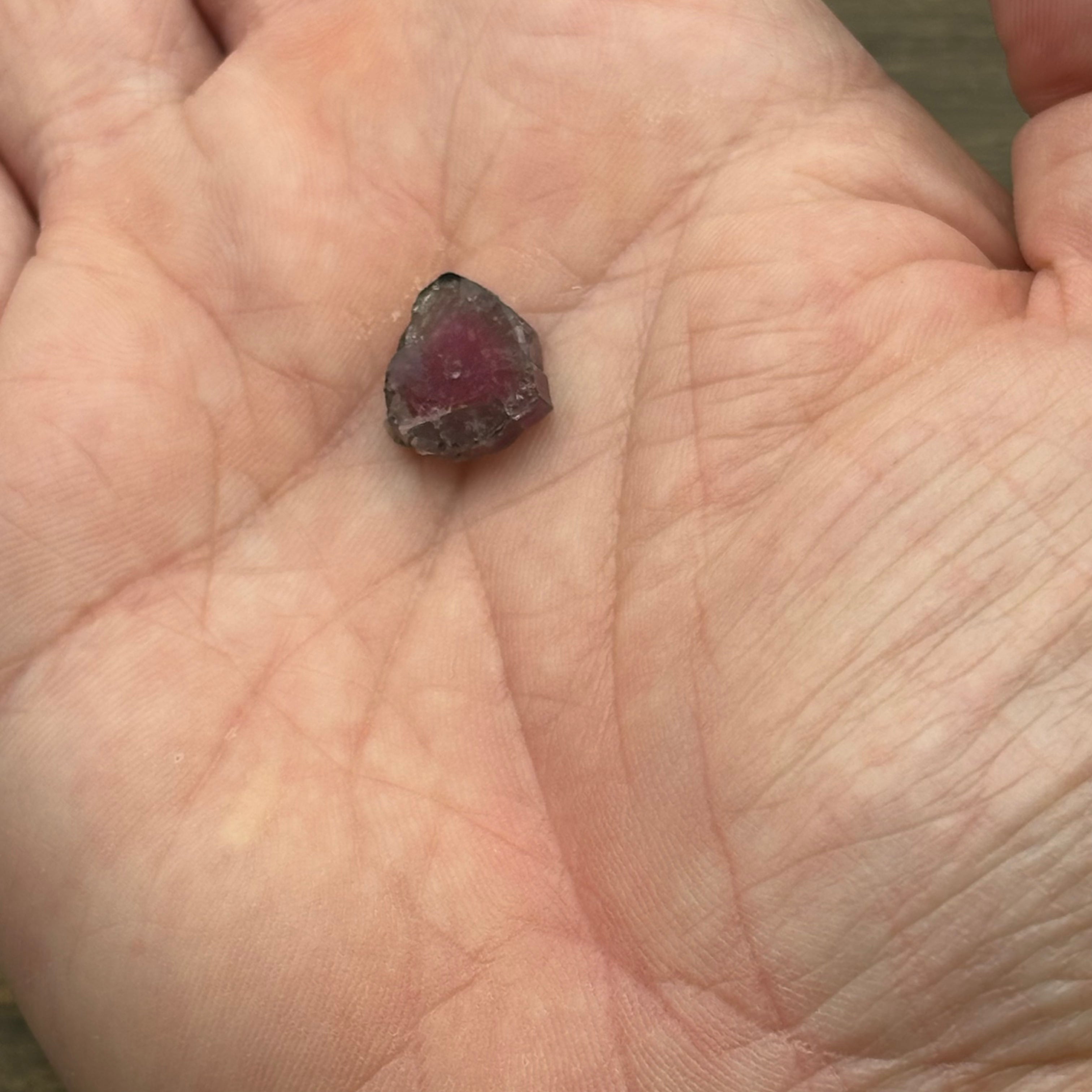 Watermelon Tourmaline Cross-Section - 056