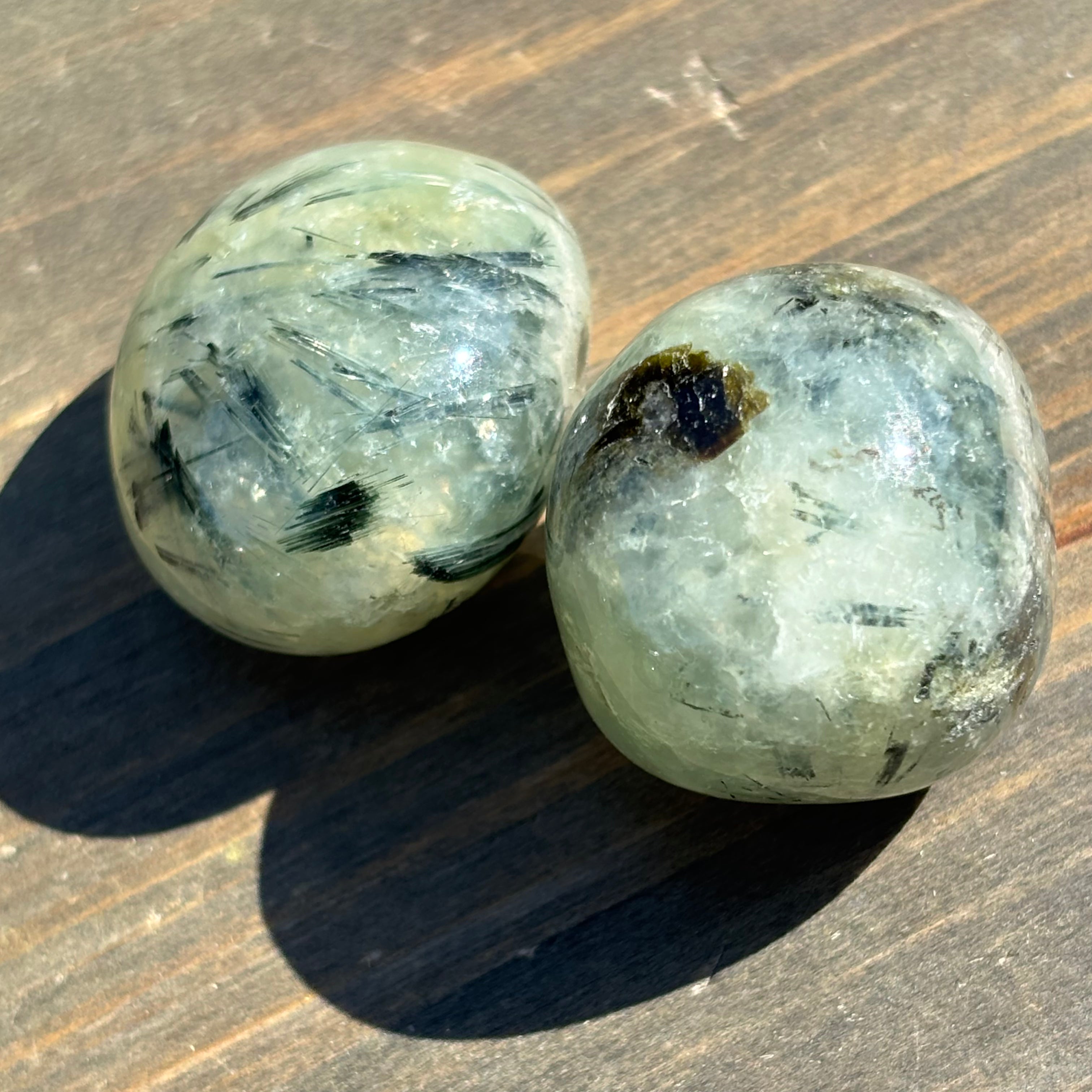 Polished Prehnite in Epidote Pair