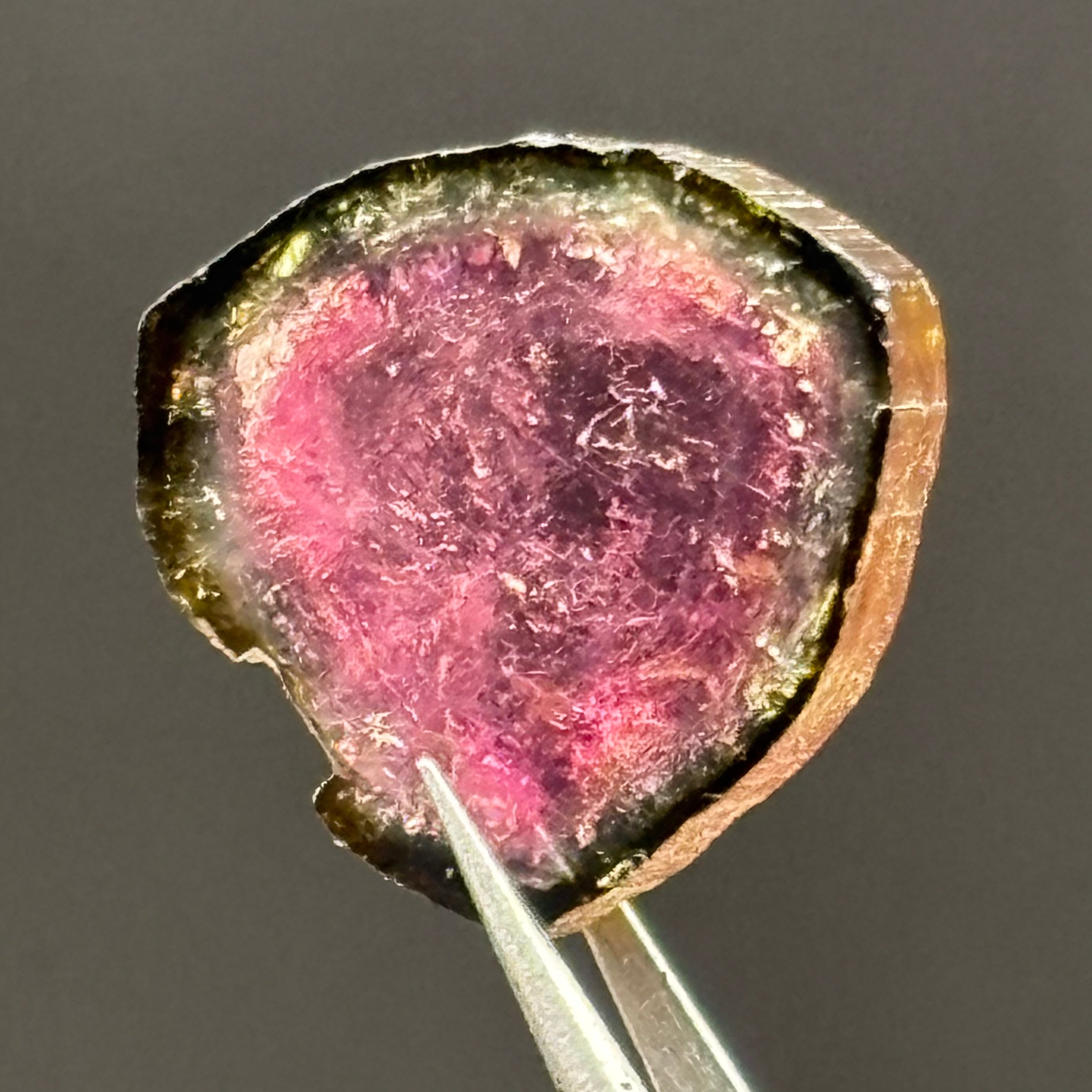 Watermelon Tourmaline Cross-Section - 057