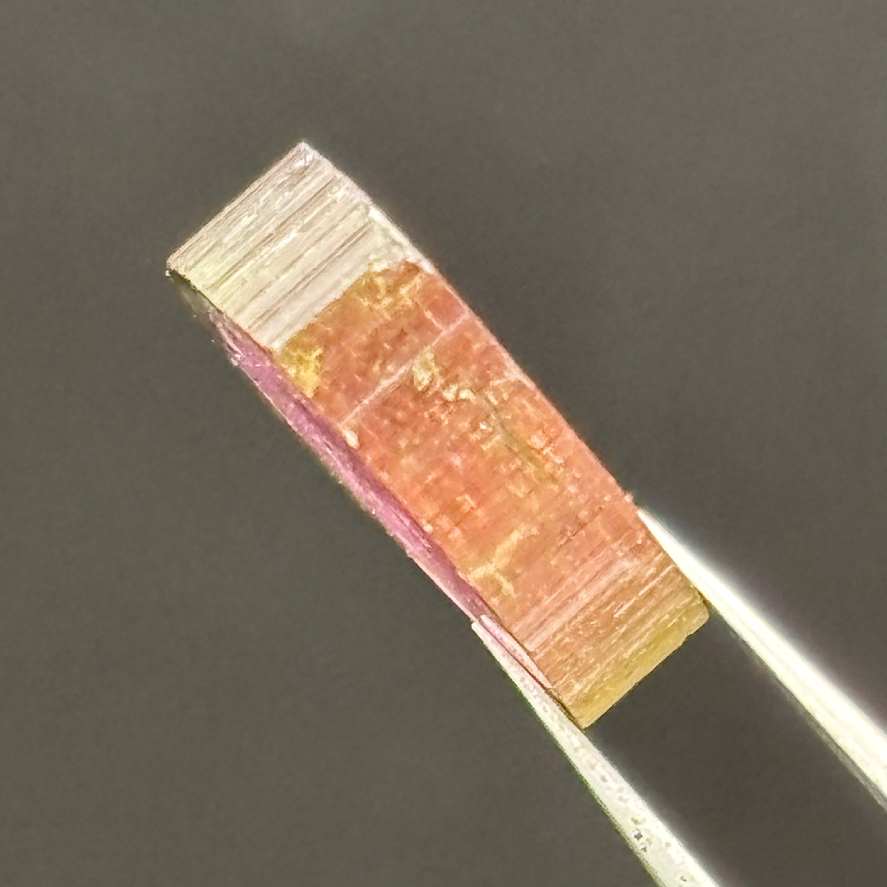 Watermelon Tourmaline Cross-Section - 057