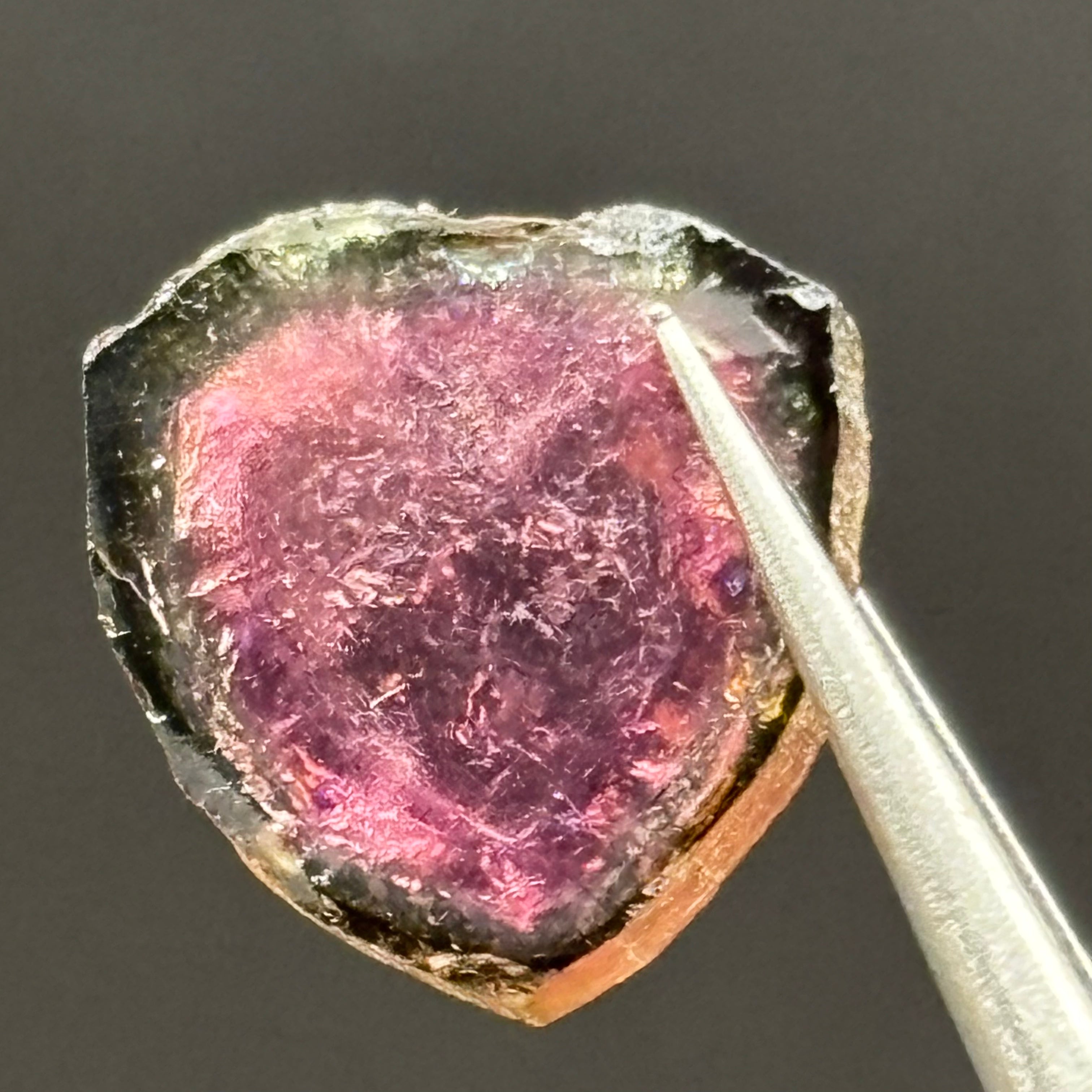 Watermelon Tourmaline Cross-Section - 057
