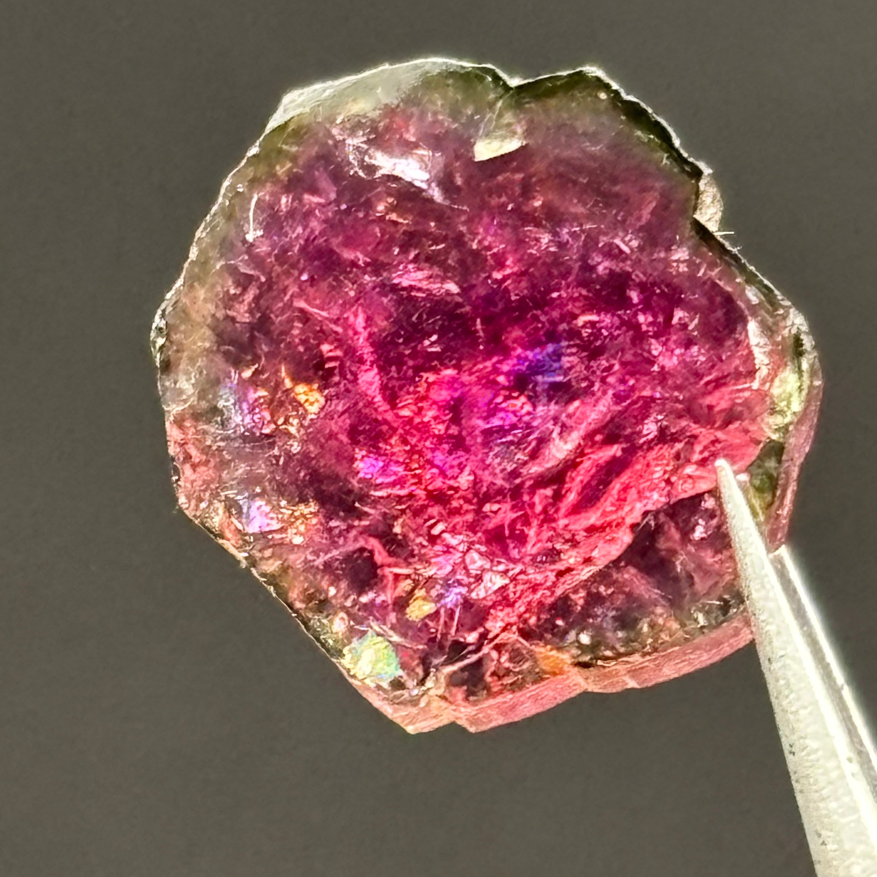 Watermelon Tourmaline Cross-Section - 058