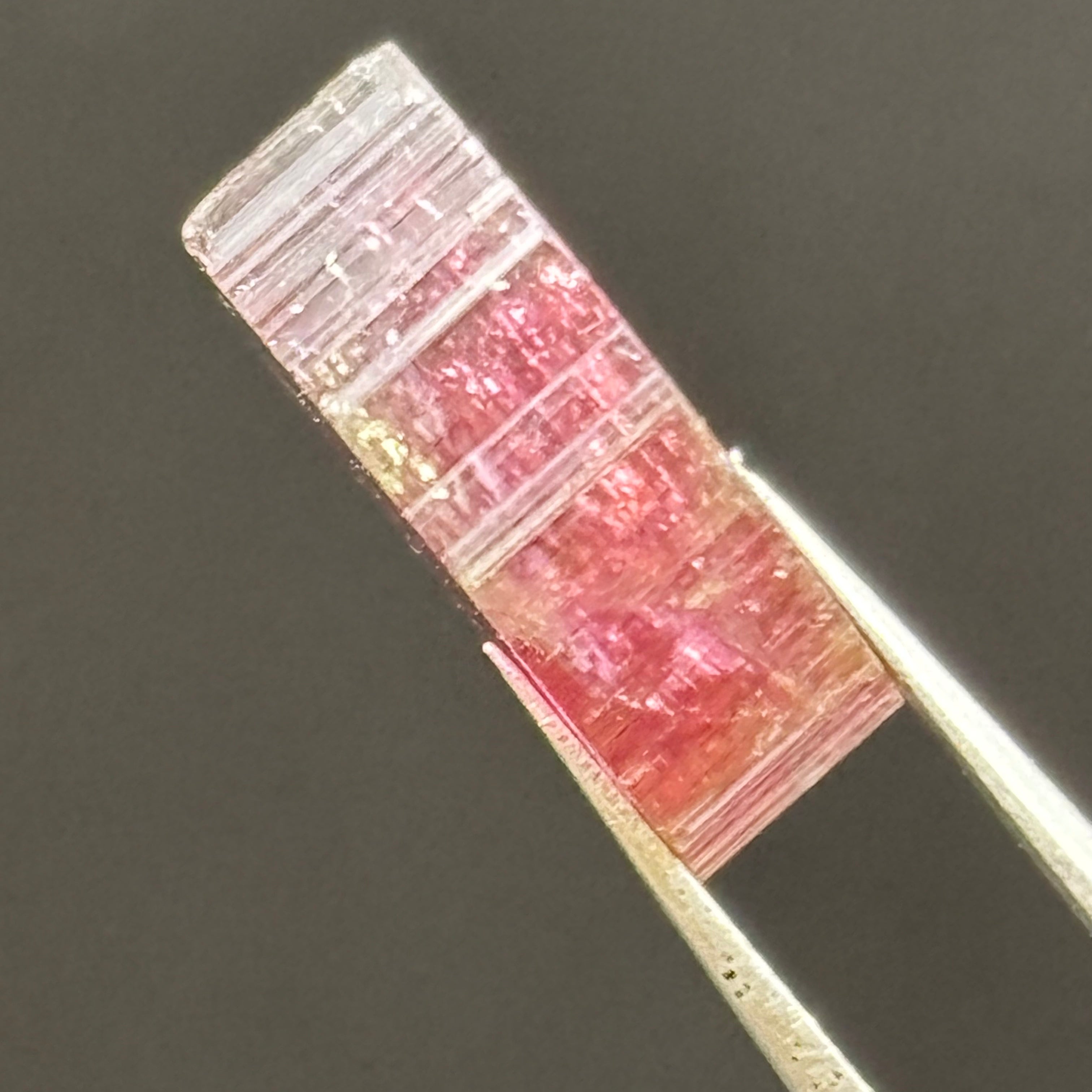 Watermelon Tourmaline Cross-Section - 058