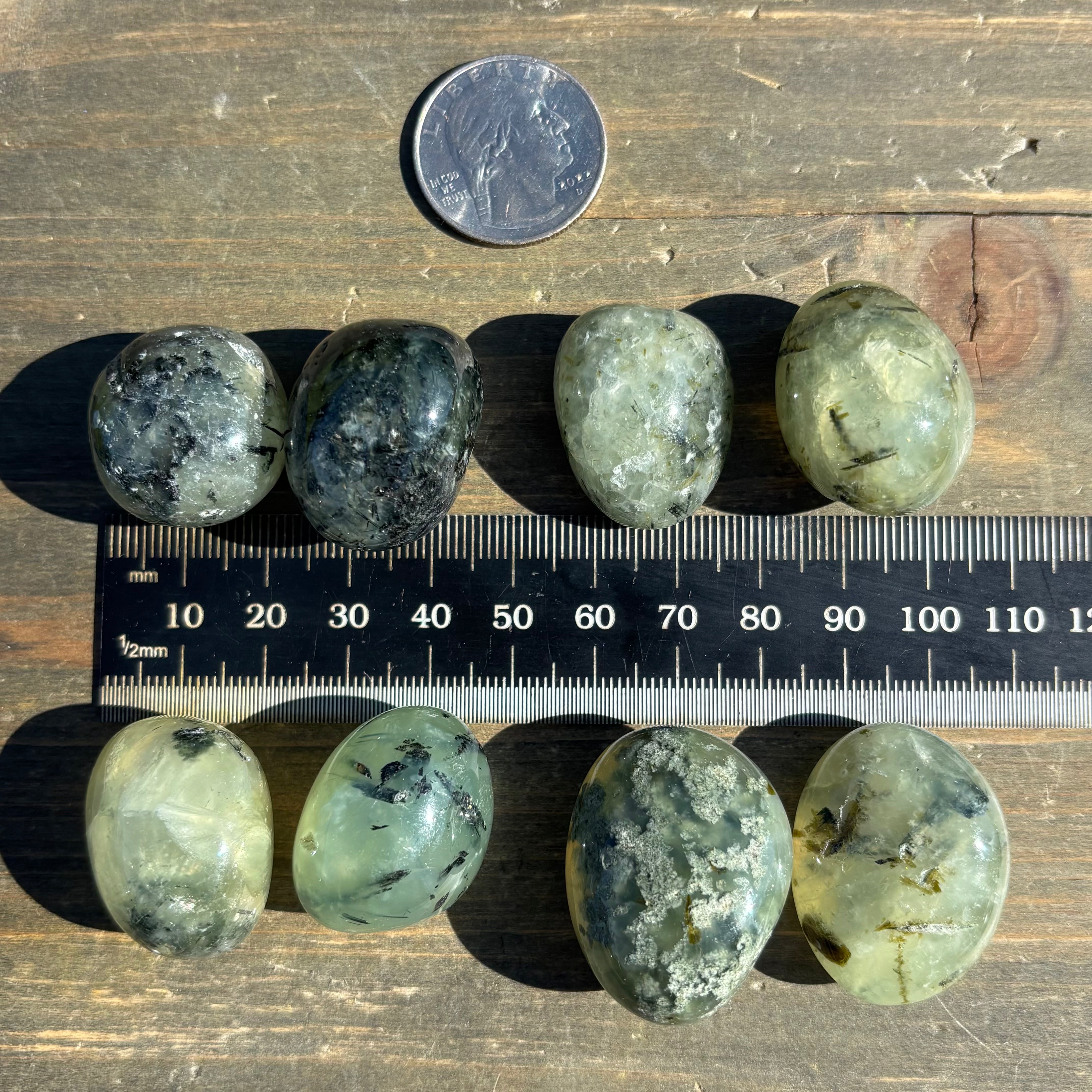 Polished Prehnite in Epidote Pair