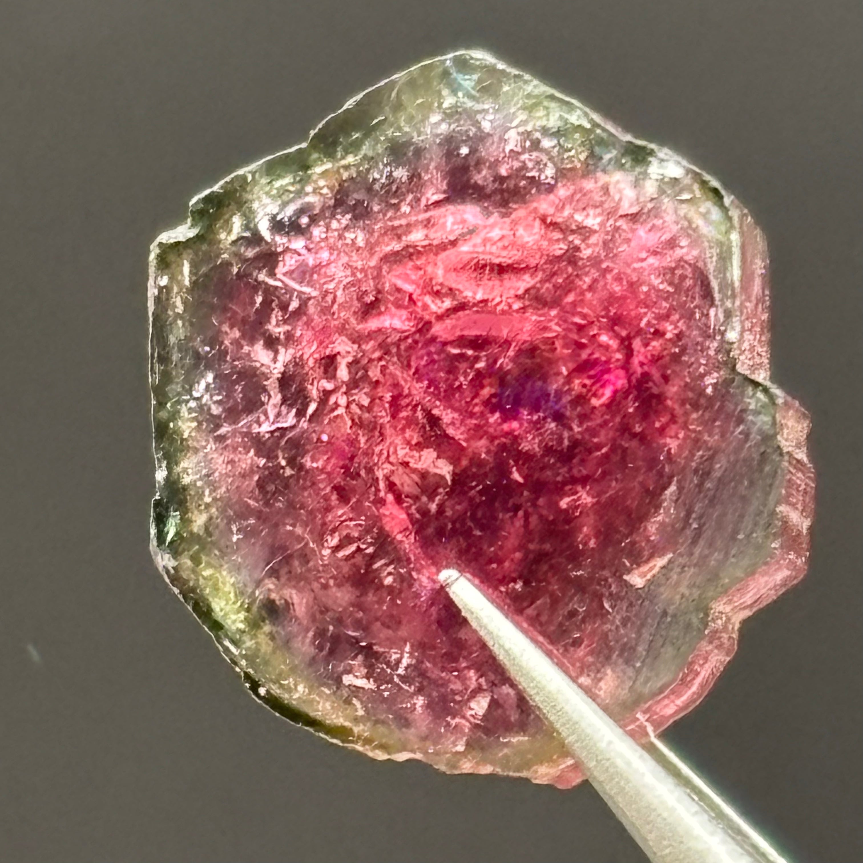 Watermelon Tourmaline Cross-Section - 058