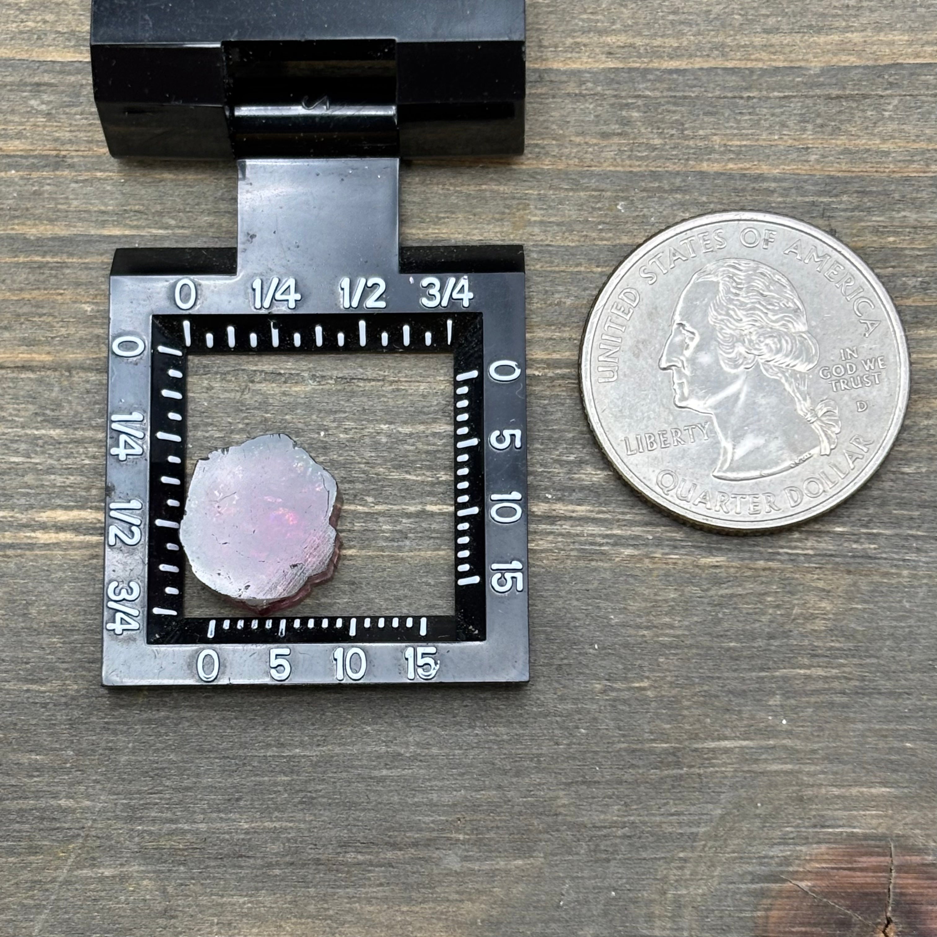 Watermelon Tourmaline Cross-Section - 058