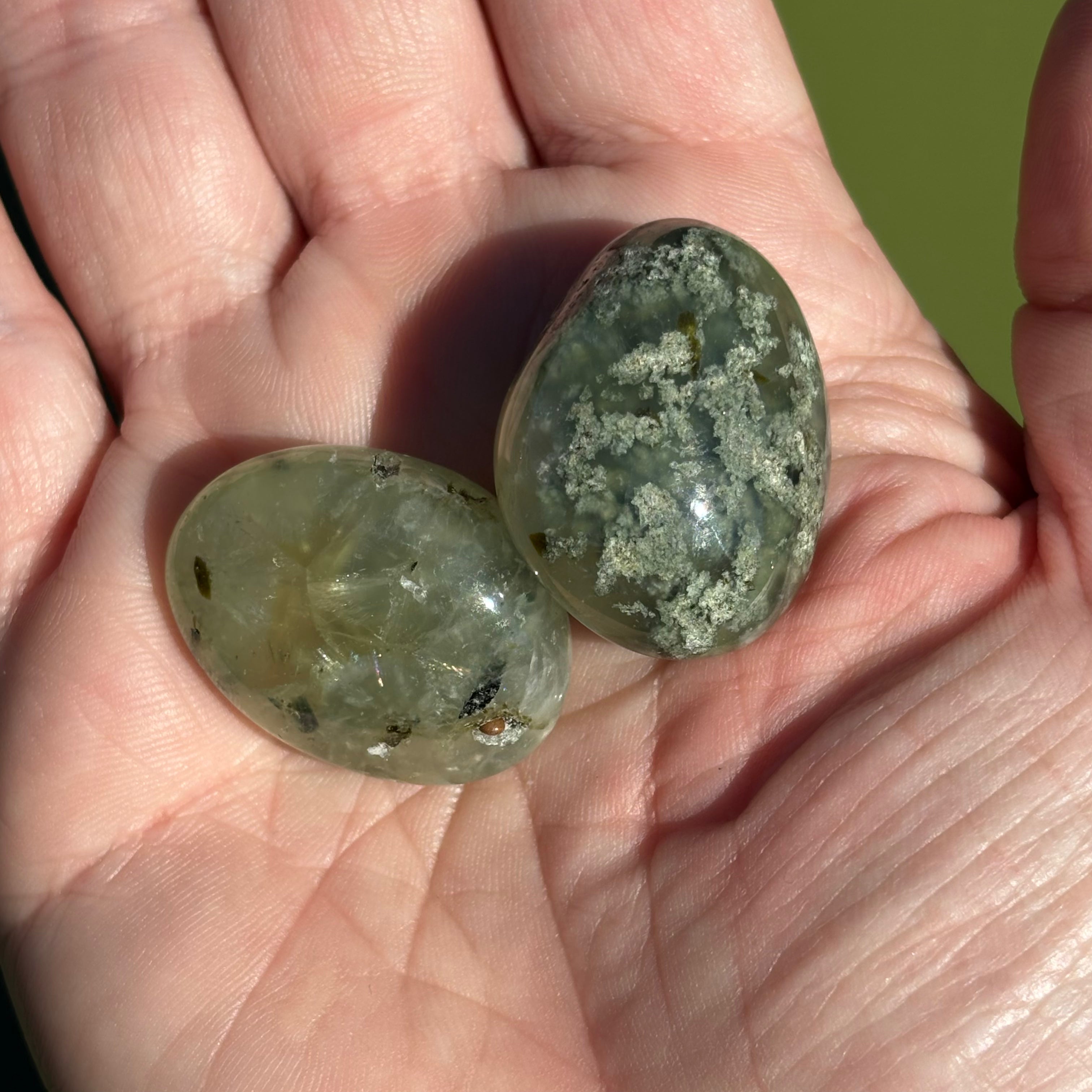 Polished Prehnite in Epidote Pair