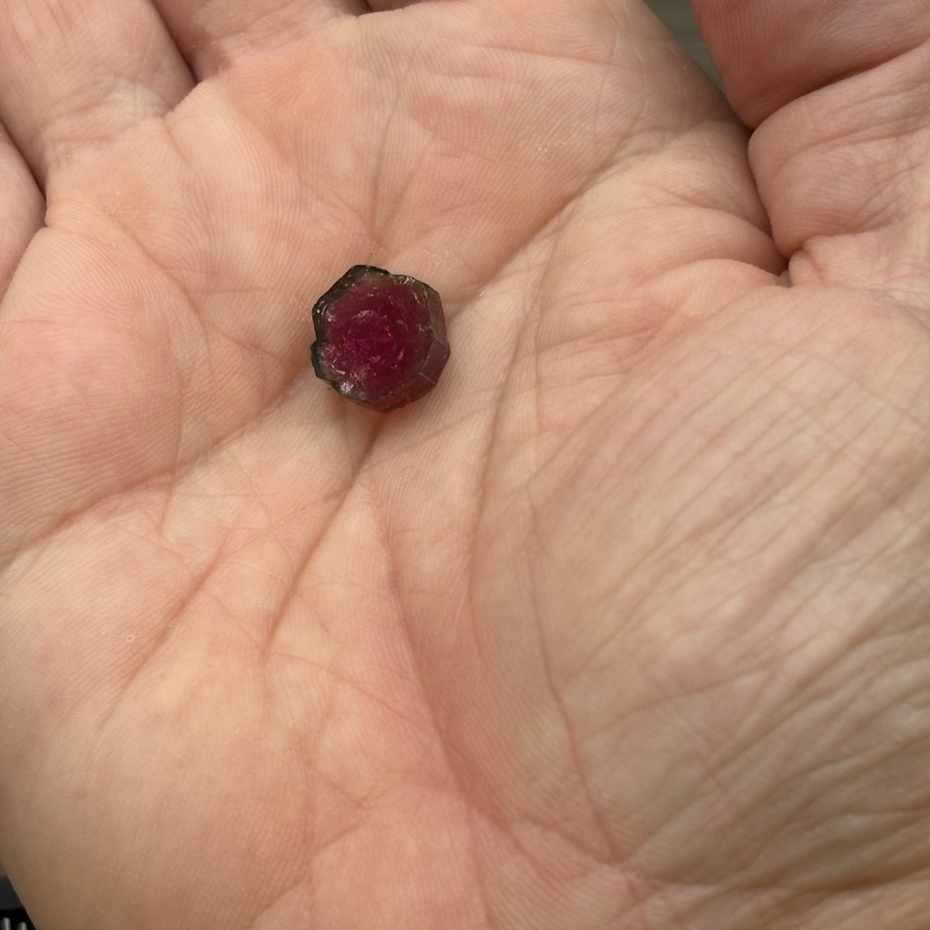 Watermelon Tourmaline Cross-Section - 058