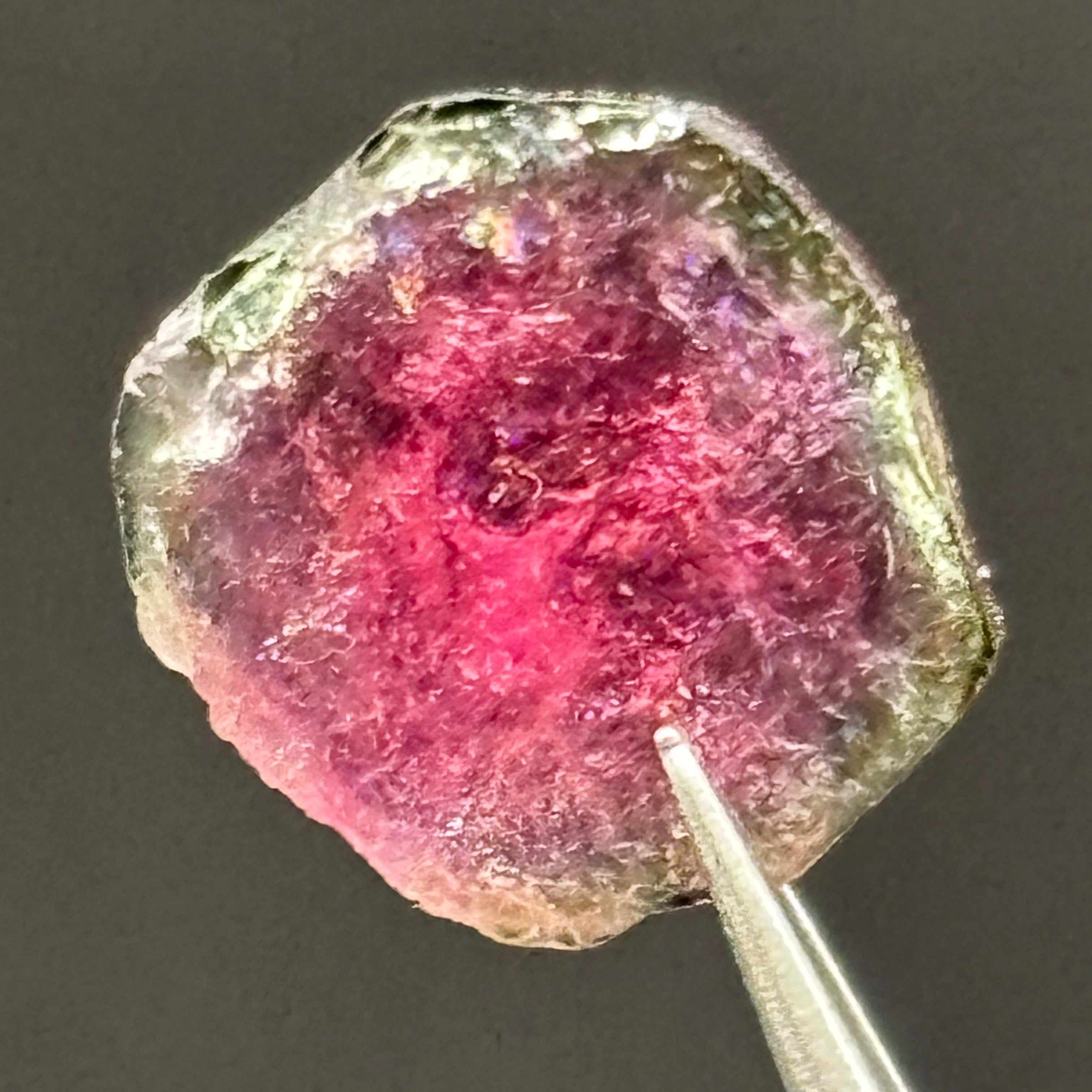 Watermelon Tourmaline Cross-Section - 059