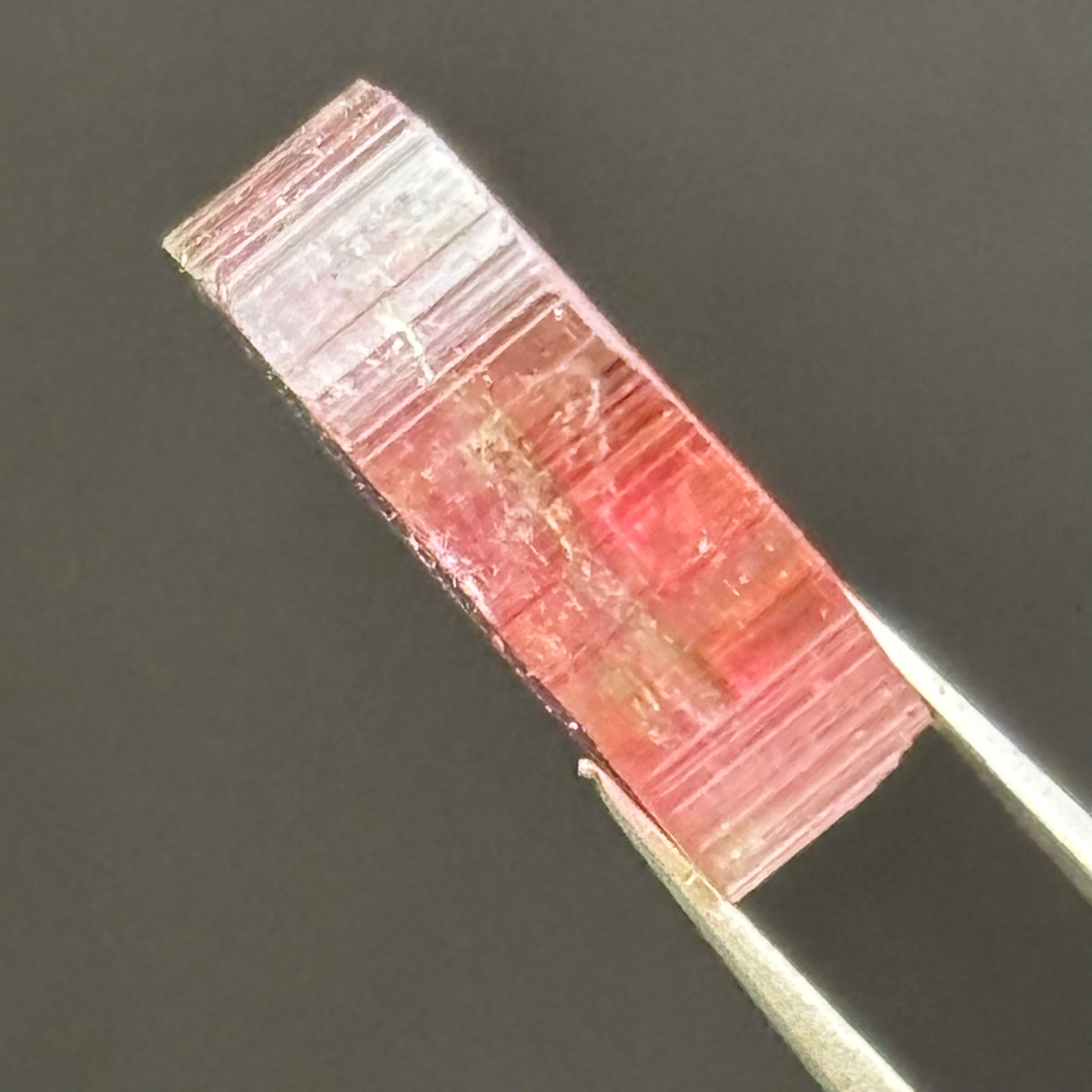 Watermelon Tourmaline Cross-Section - 059