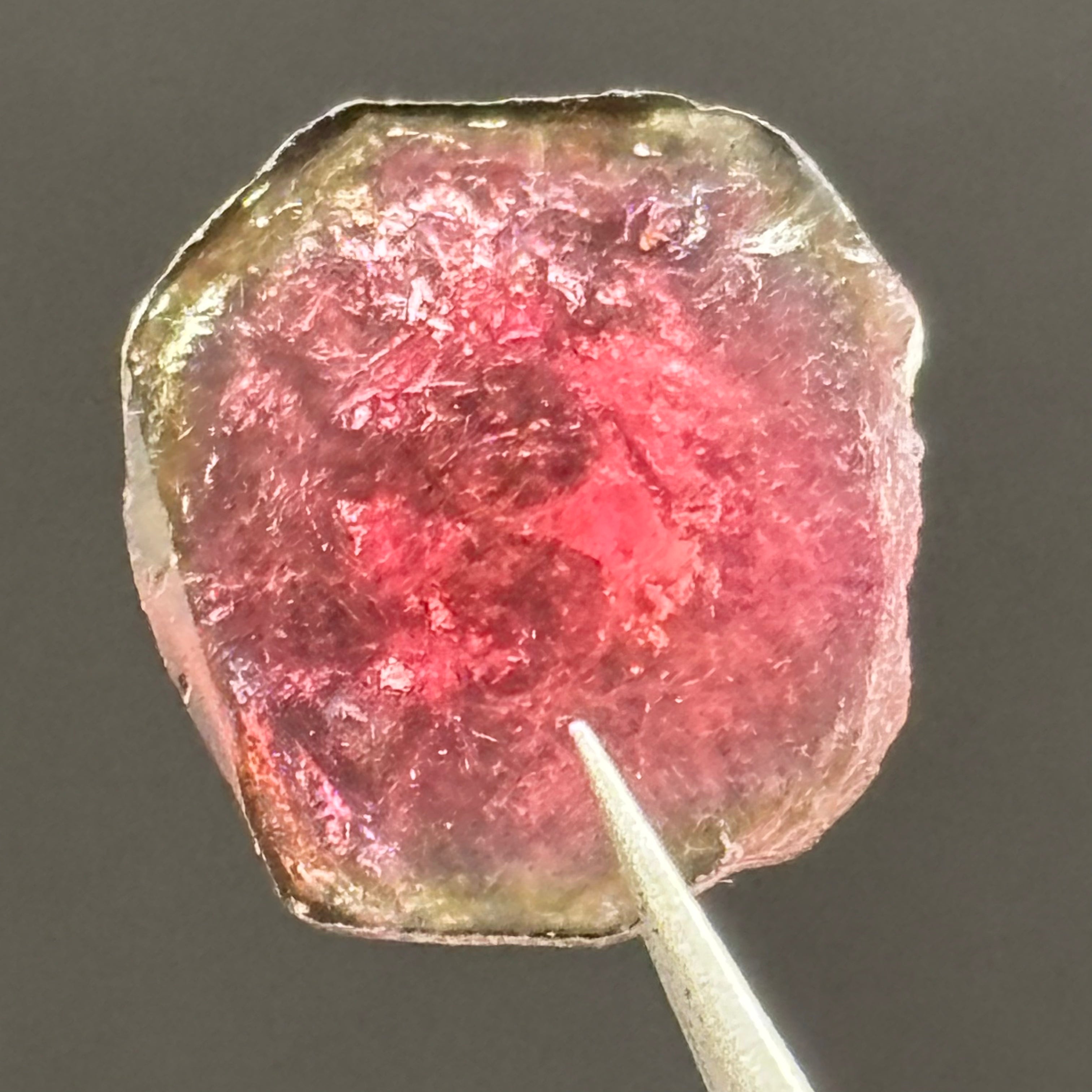 Watermelon Tourmaline Cross-Section - 059