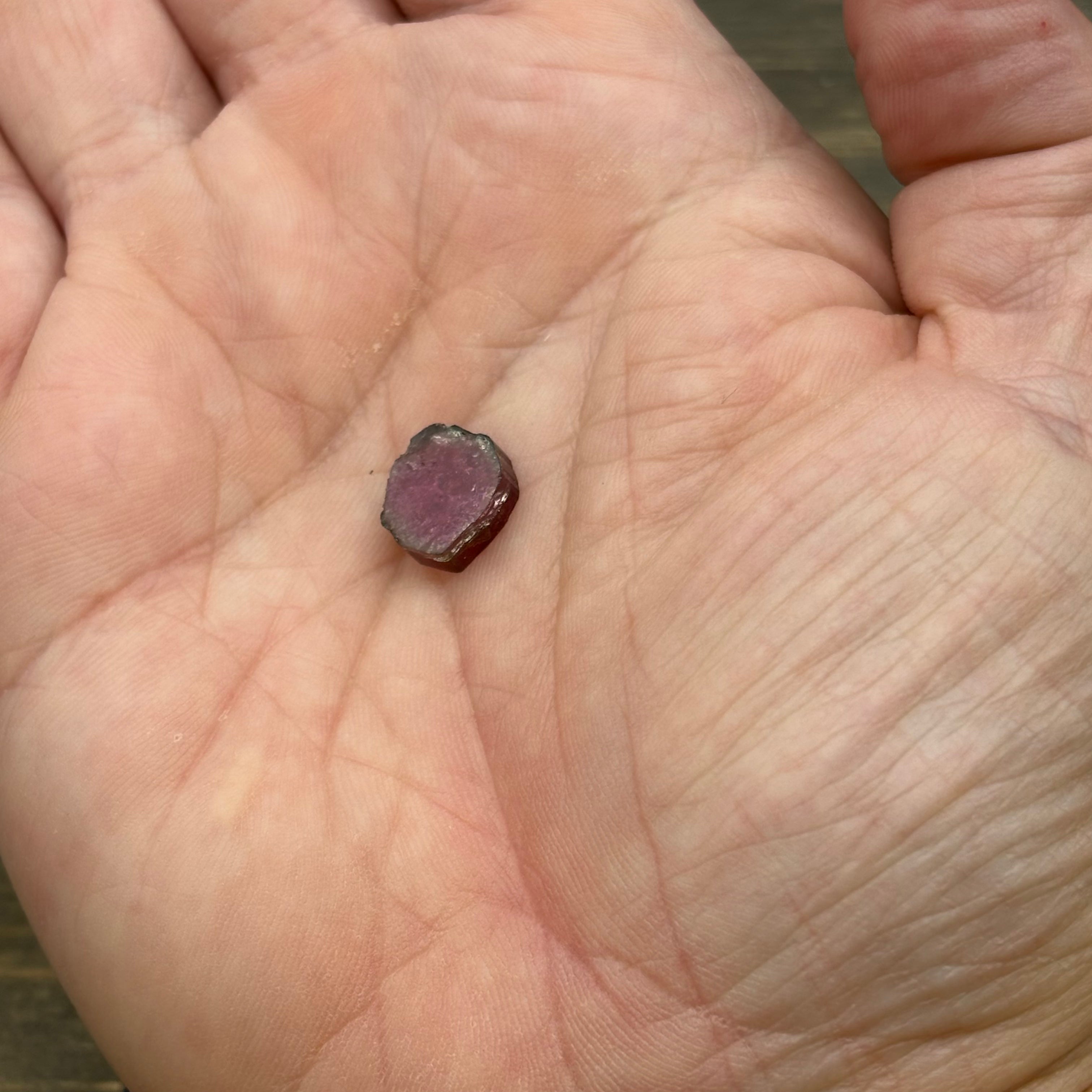 Watermelon Tourmaline Cross-Section - 059