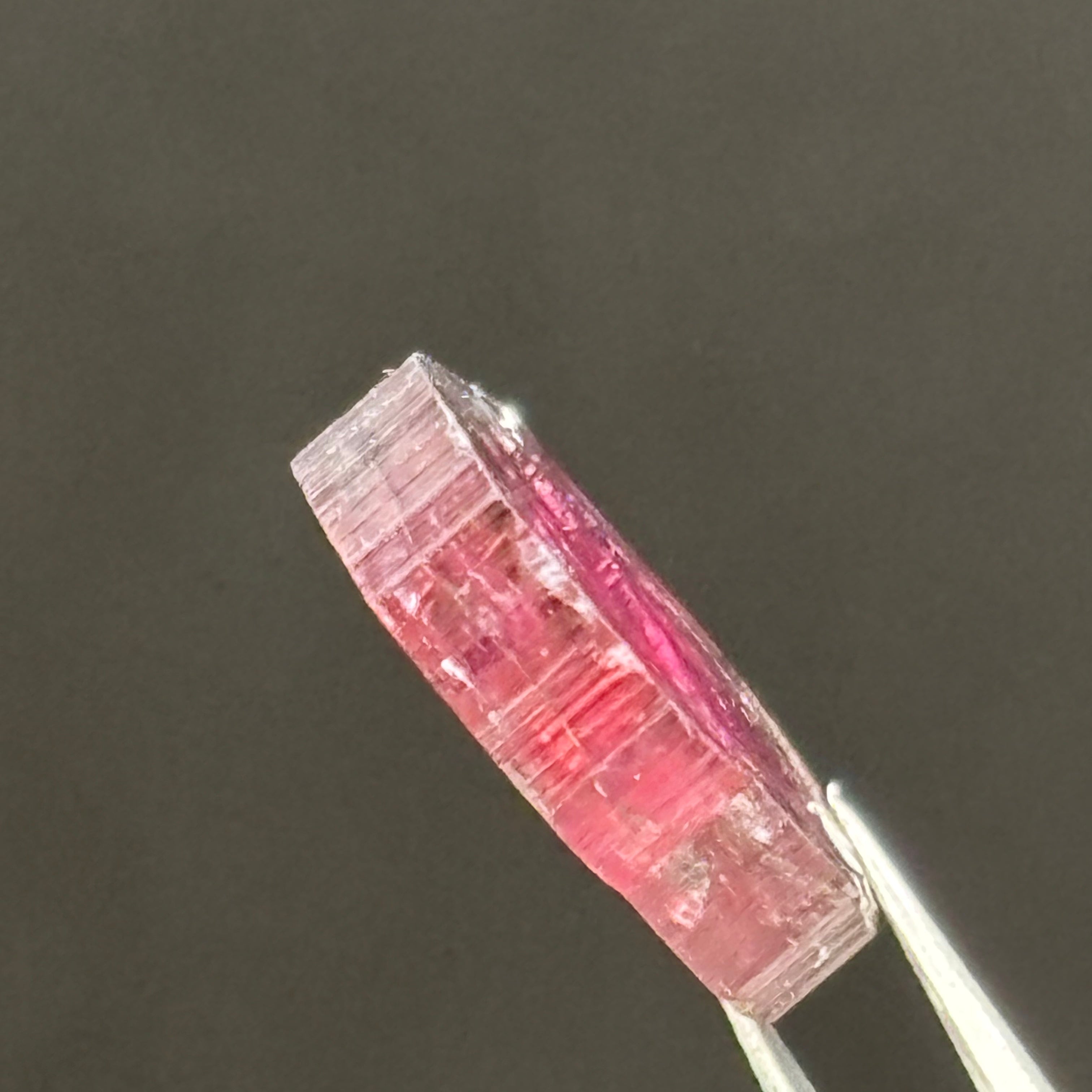 Watermelon Tourmaline Cross-Section - 060