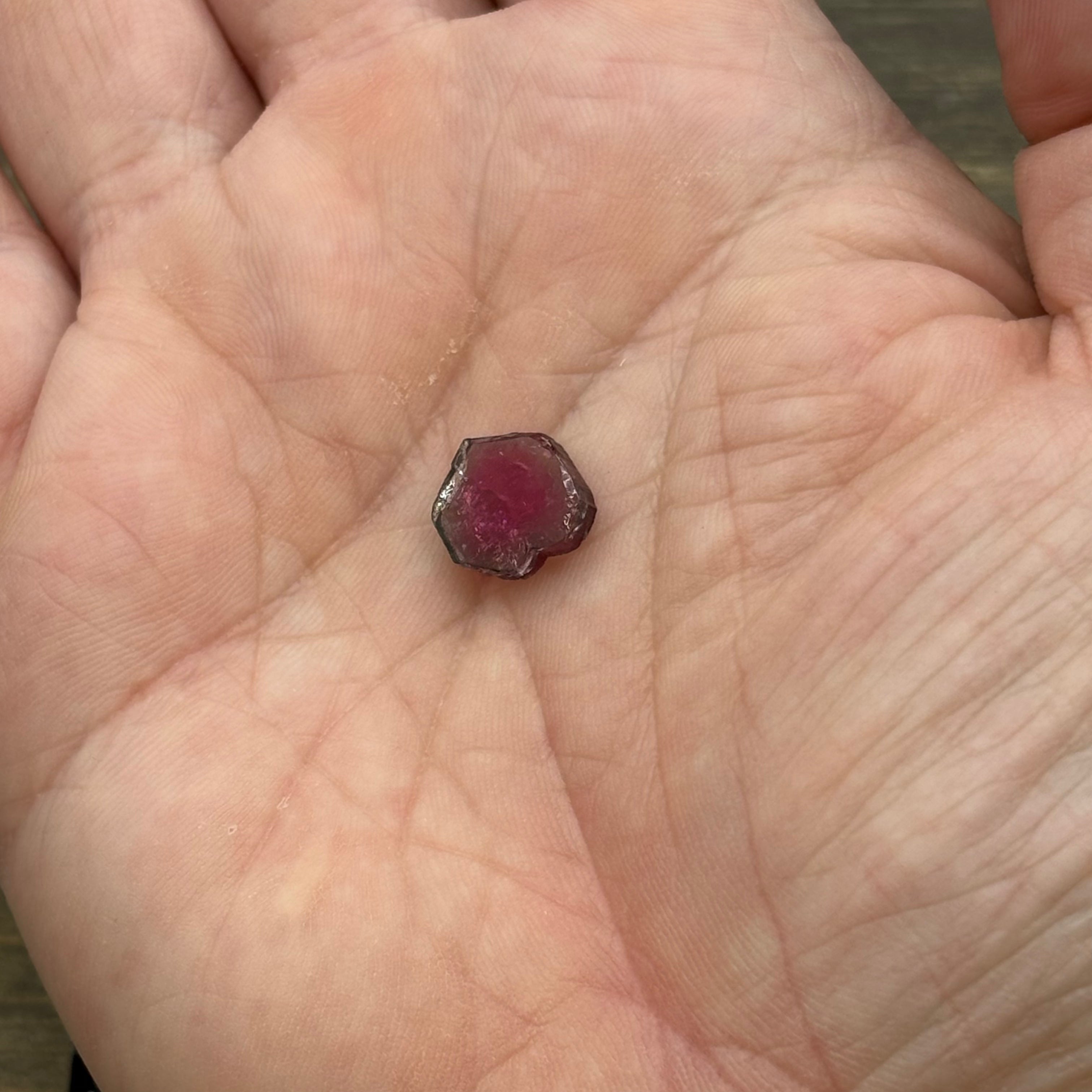 Watermelon Tourmaline Cross-Section - 060