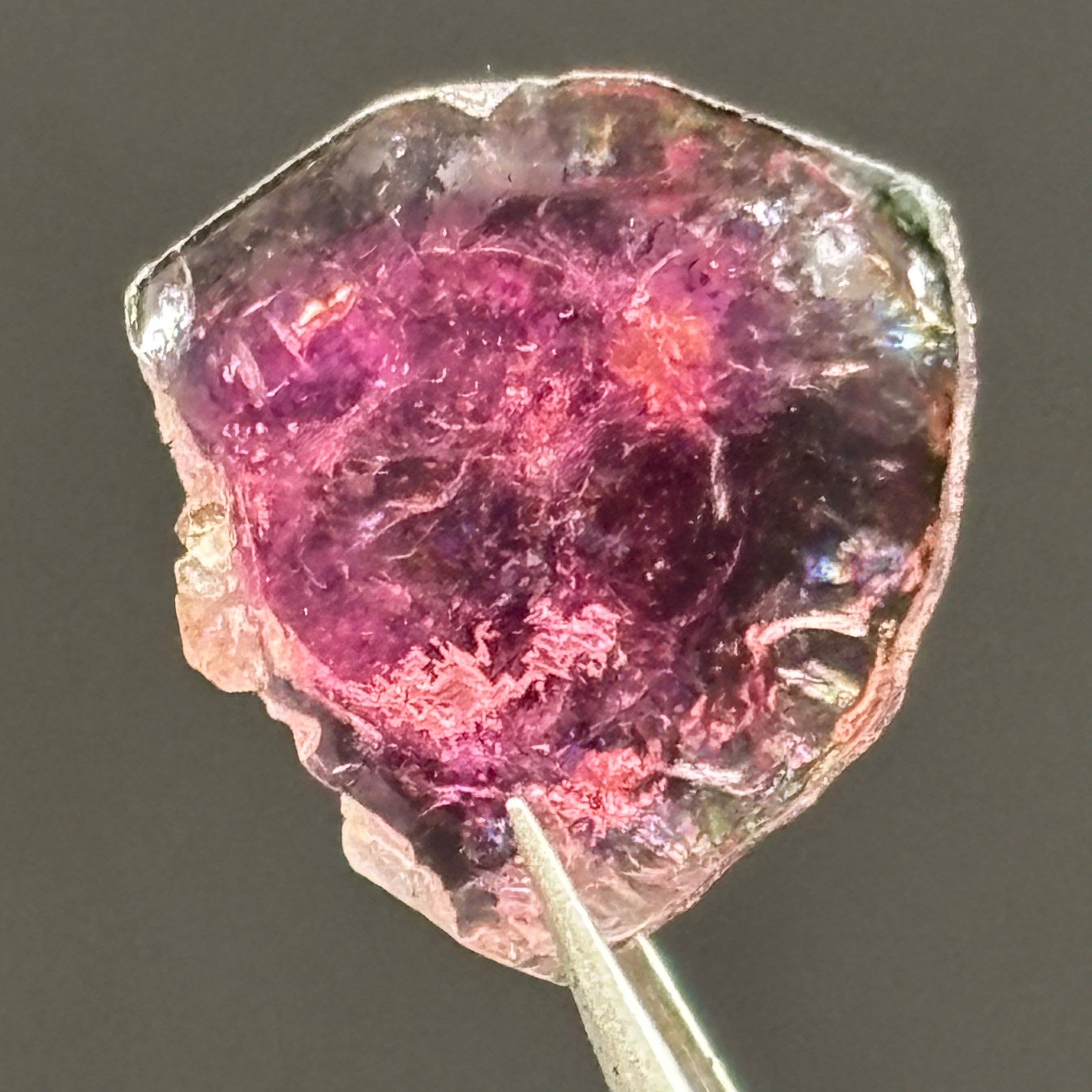 Watermelon Tourmaline Cross-Section - 061