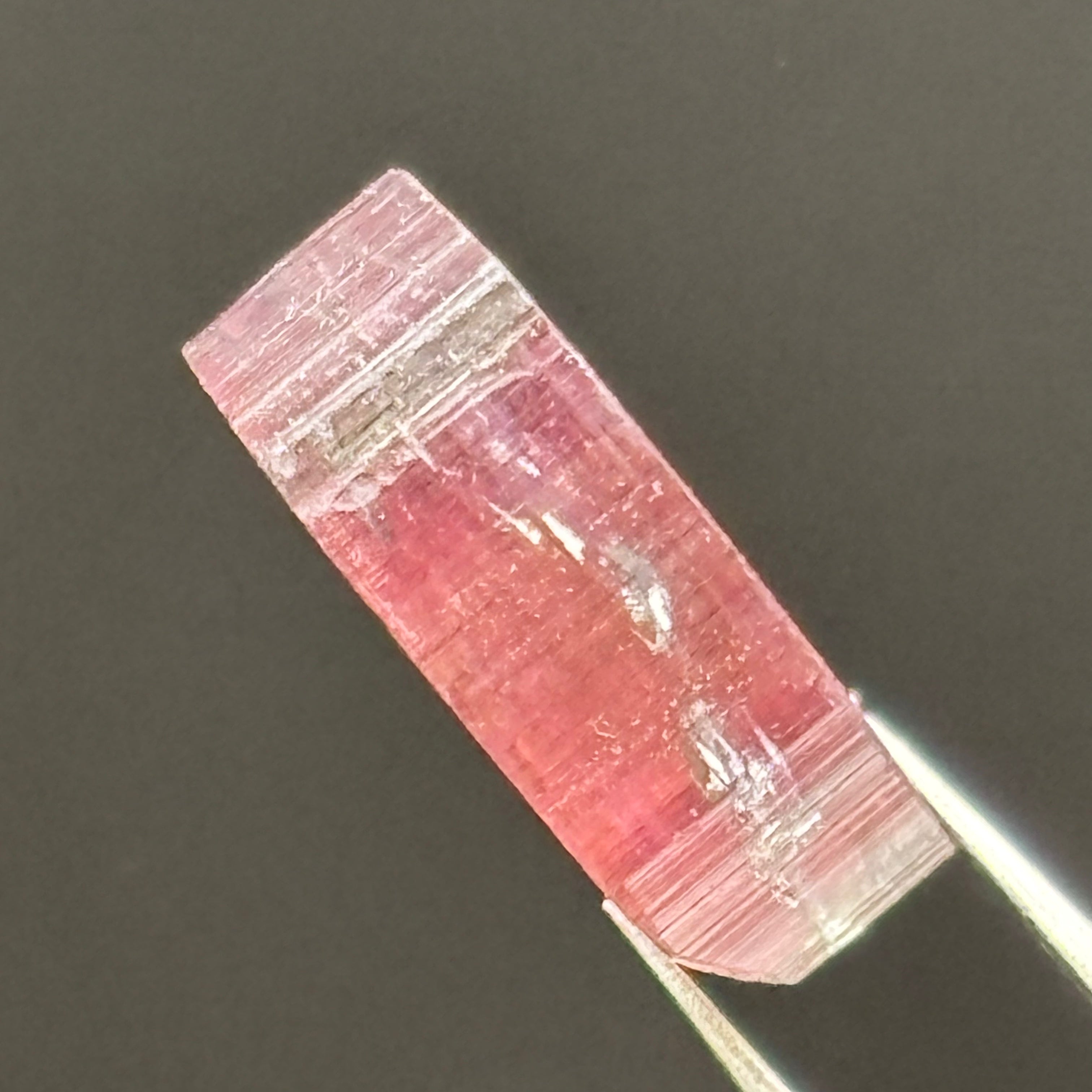 Watermelon Tourmaline Cross-Section - 061